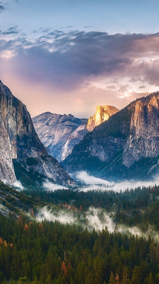 無料モバイル壁紙風景, 自然, 山, 森, 崖, 地球, 谷をダウンロードします。