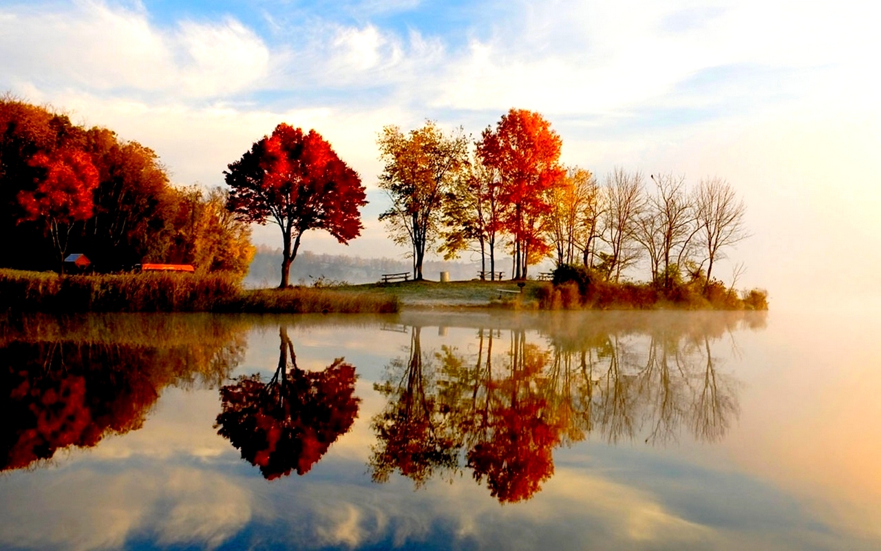 Laden Sie das Wasser, Herbst, Baum, Wolke, Erde/natur, Spiegelung-Bild kostenlos auf Ihren PC-Desktop herunter