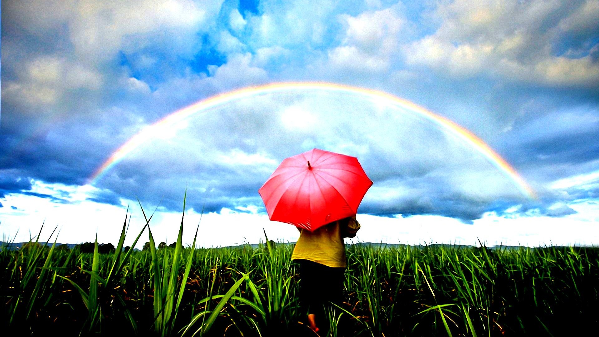 Free download wallpaper Grass, Rainbow, Earth, Field, Umbrella, Little Girl on your PC desktop