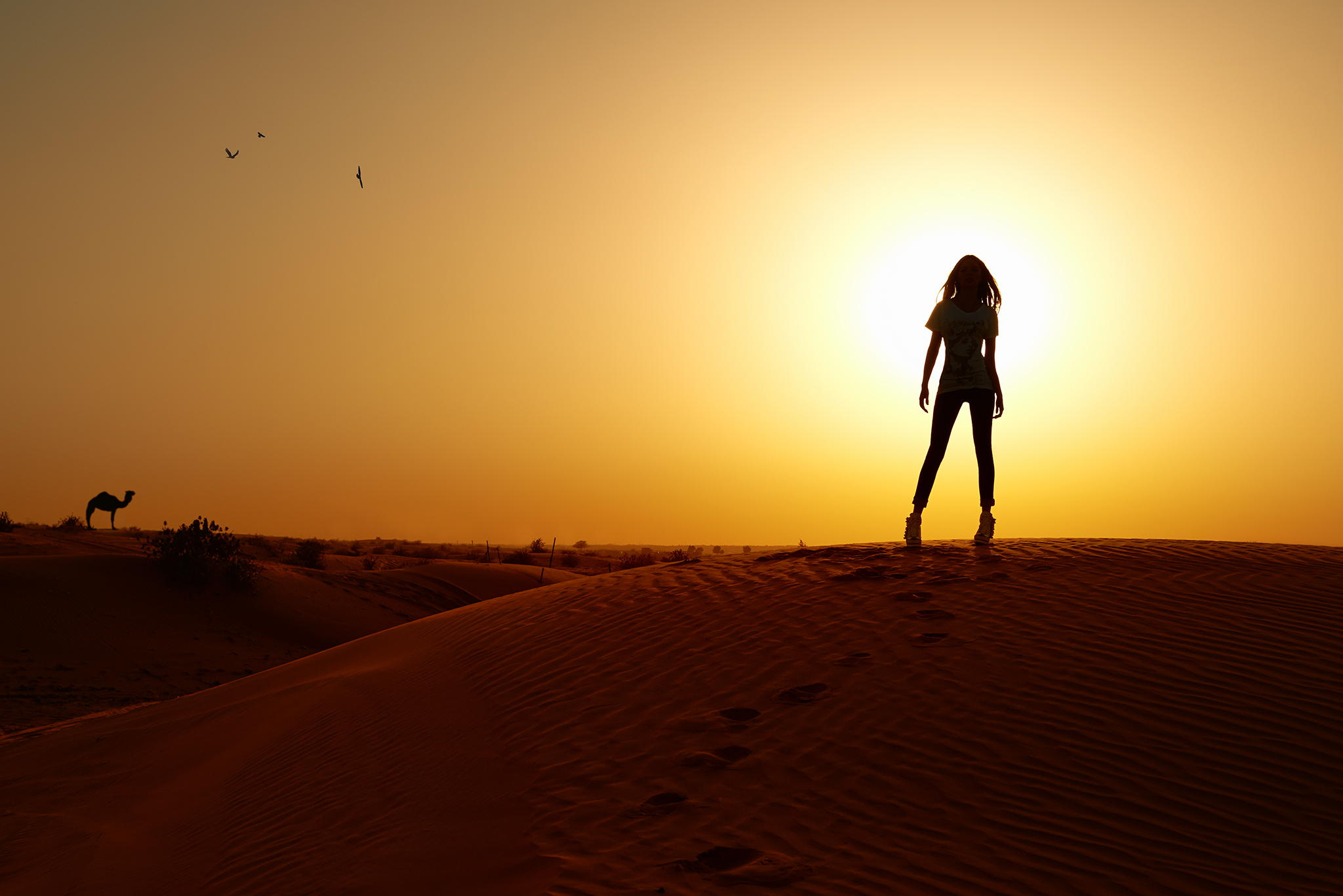 Скачати мобільні шпалери Сонце, Пісок, Пустеля, Силует, Настрій, Дюна, Жінки безкоштовно.