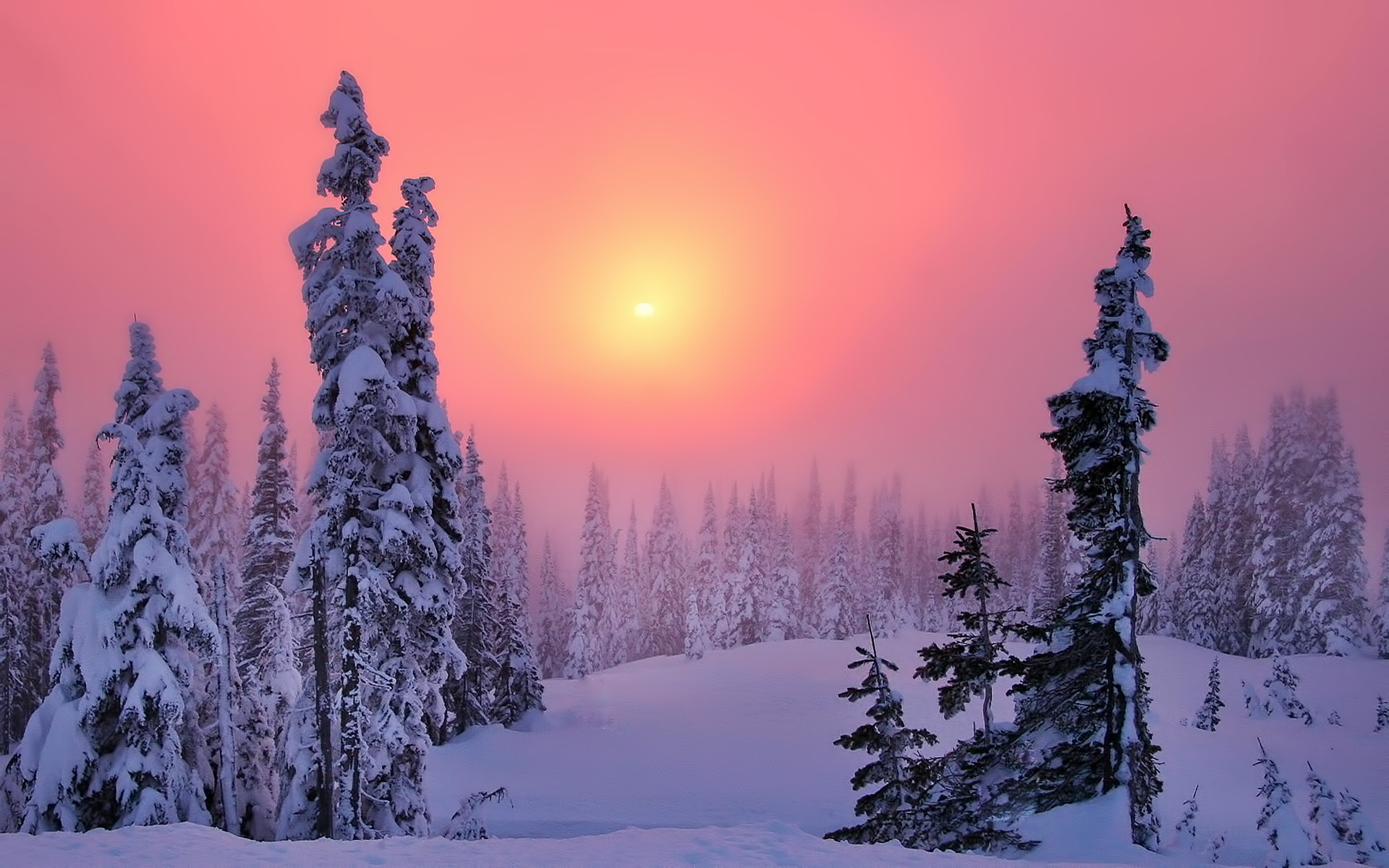 Скачать обои бесплатно Зима, Земля/природа картинка на рабочий стол ПК