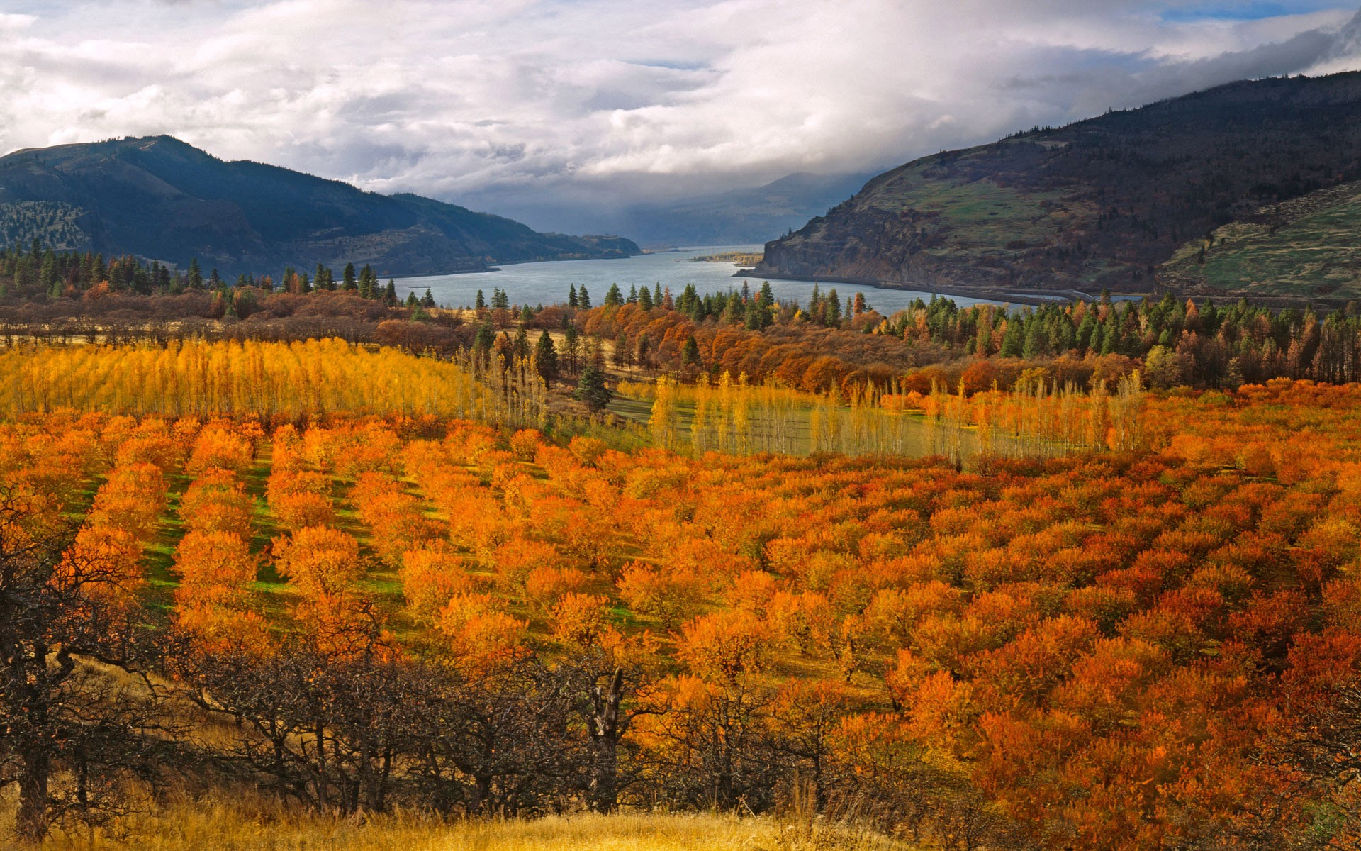Скачать картинку Осень, Гора, Озеро, Лес, Земля/природа, Оранжевый Цвет) в телефон бесплатно.