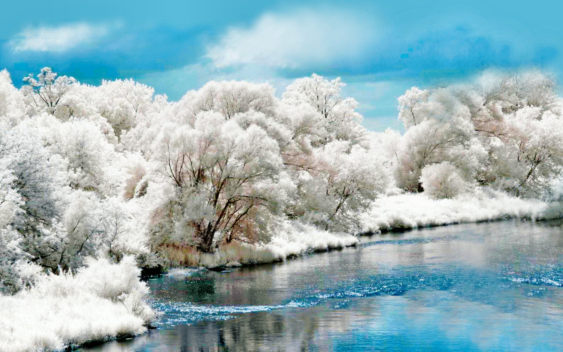 1493977 descargar imagen blanco, tierra/naturaleza, invierno, azul, lago, naturaleza, escénico, cielo, nieve, árbol: fondos de pantalla y protectores de pantalla gratis