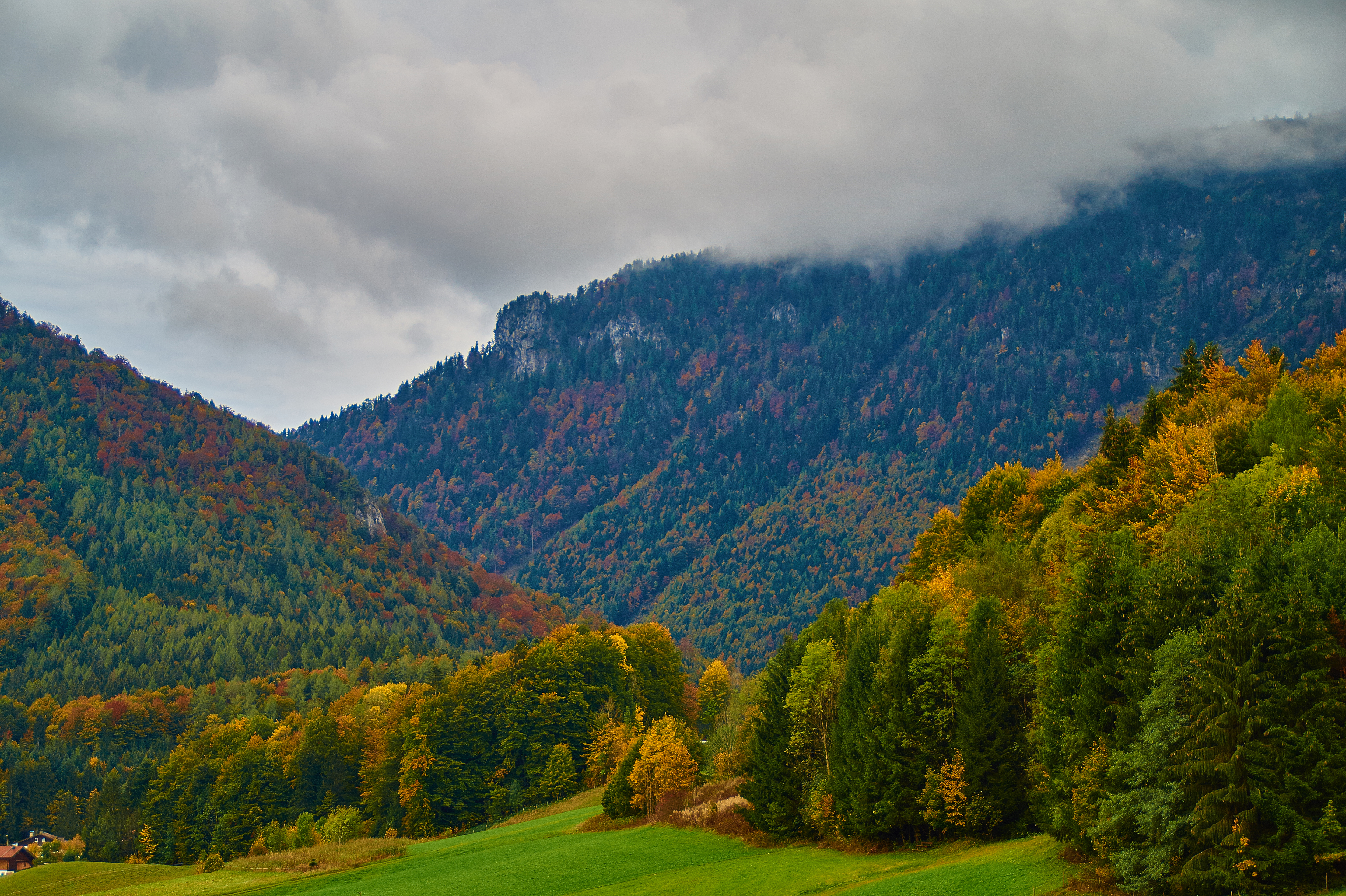 Handy-Wallpaper Landschaft, Herbst, Wald, Baum, Gebirge, Erde/natur kostenlos herunterladen.