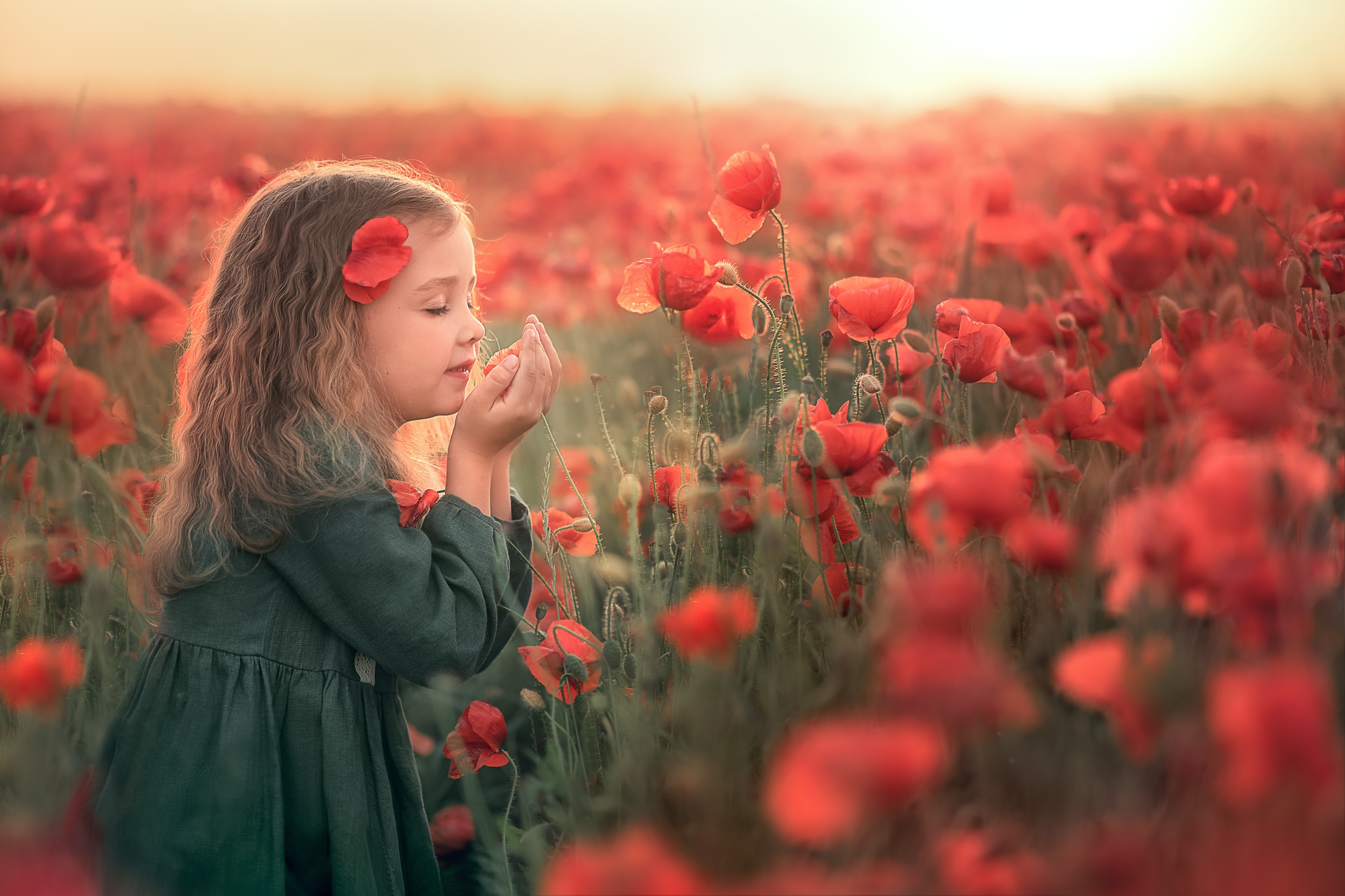 Laden Sie das Mohn, Sommer, Blume, Kind, Fotografie, Rote Blume-Bild kostenlos auf Ihren PC-Desktop herunter