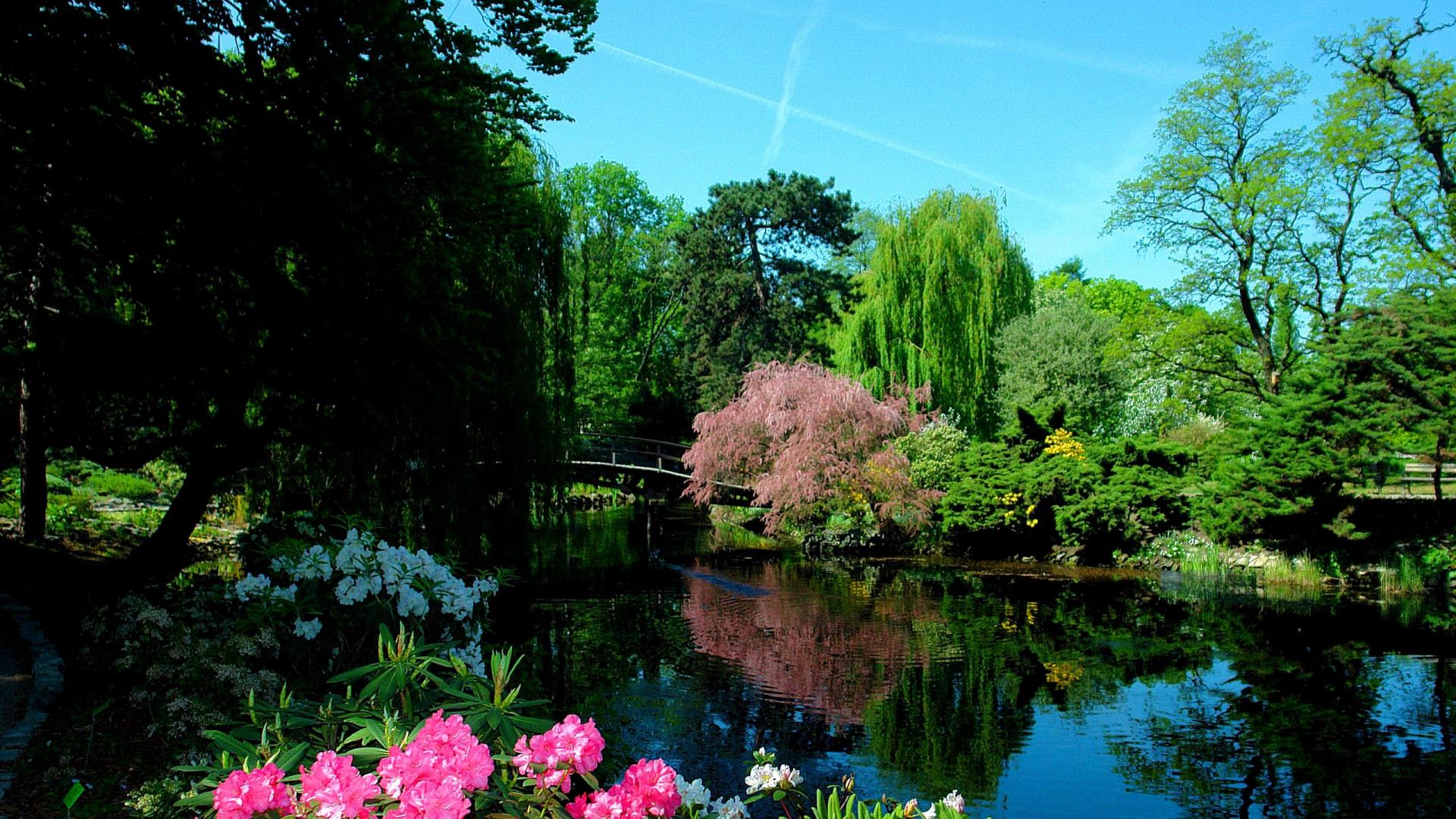 Handy-Wallpaper Blume, Baum, Brücke, Menschengemacht, Japanischer Garten kostenlos herunterladen.
