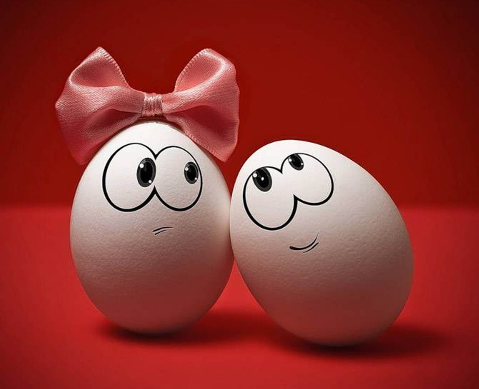 eggs, miscellanea, miscellaneous, couple, pair, bow, emotions