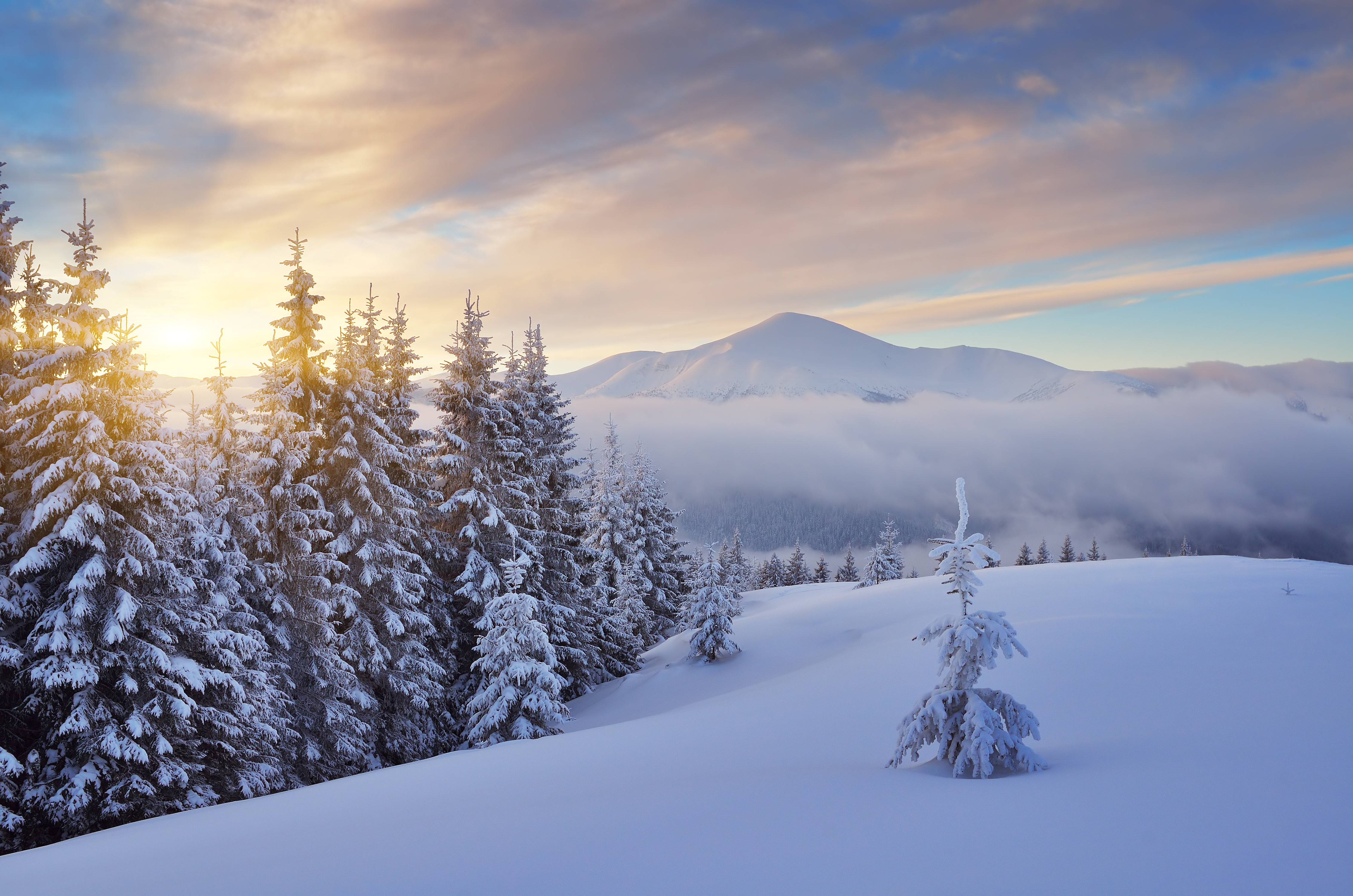 Download mobile wallpaper Landscape, Winter, Nature, Snow, Mountain, Tree, Fog, Earth for free.