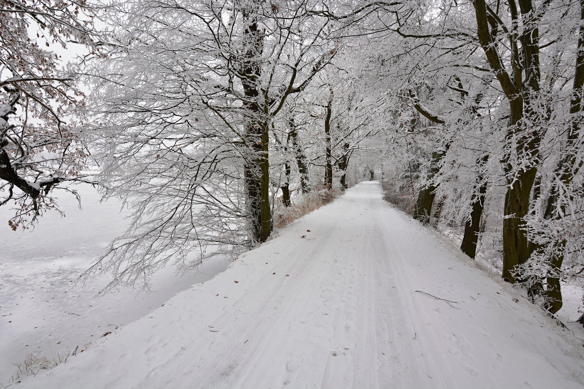 Handy-Wallpaper Winter, Natur, Schnee, Straße, Baum, Menschengemacht kostenlos herunterladen.