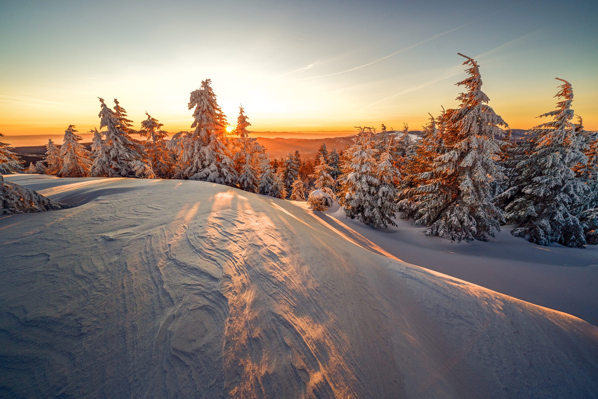 Baixe gratuitamente a imagem Inverno, Natureza, Neve, Abeto, Terra/natureza na área de trabalho do seu PC