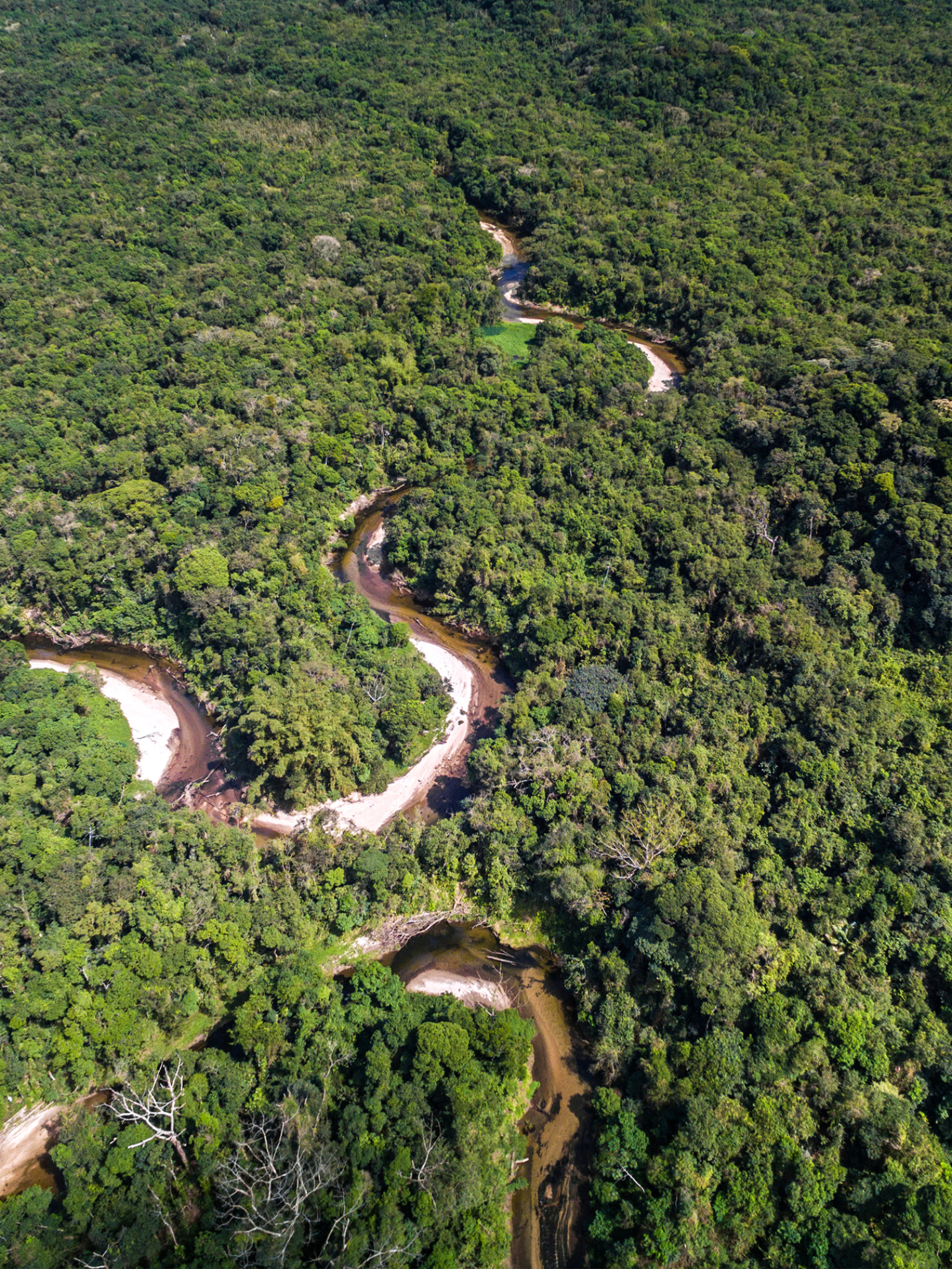 Download mobile wallpaper Landscape, Nature, Forest, Earth, Brazil, River, Aerial for free.