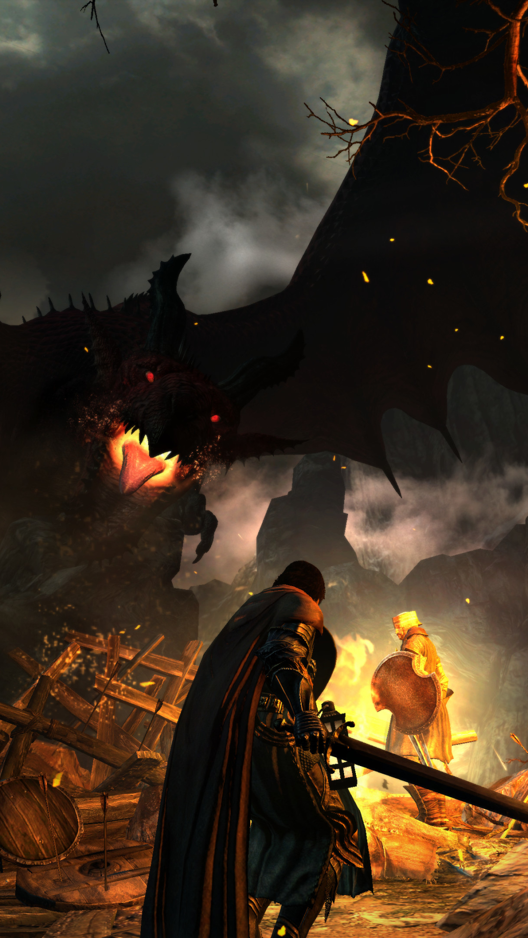 1378802 Hintergrundbild herunterladen computerspiele, dragon's dogma: dark arisen - Bildschirmschoner und Bilder kostenlos