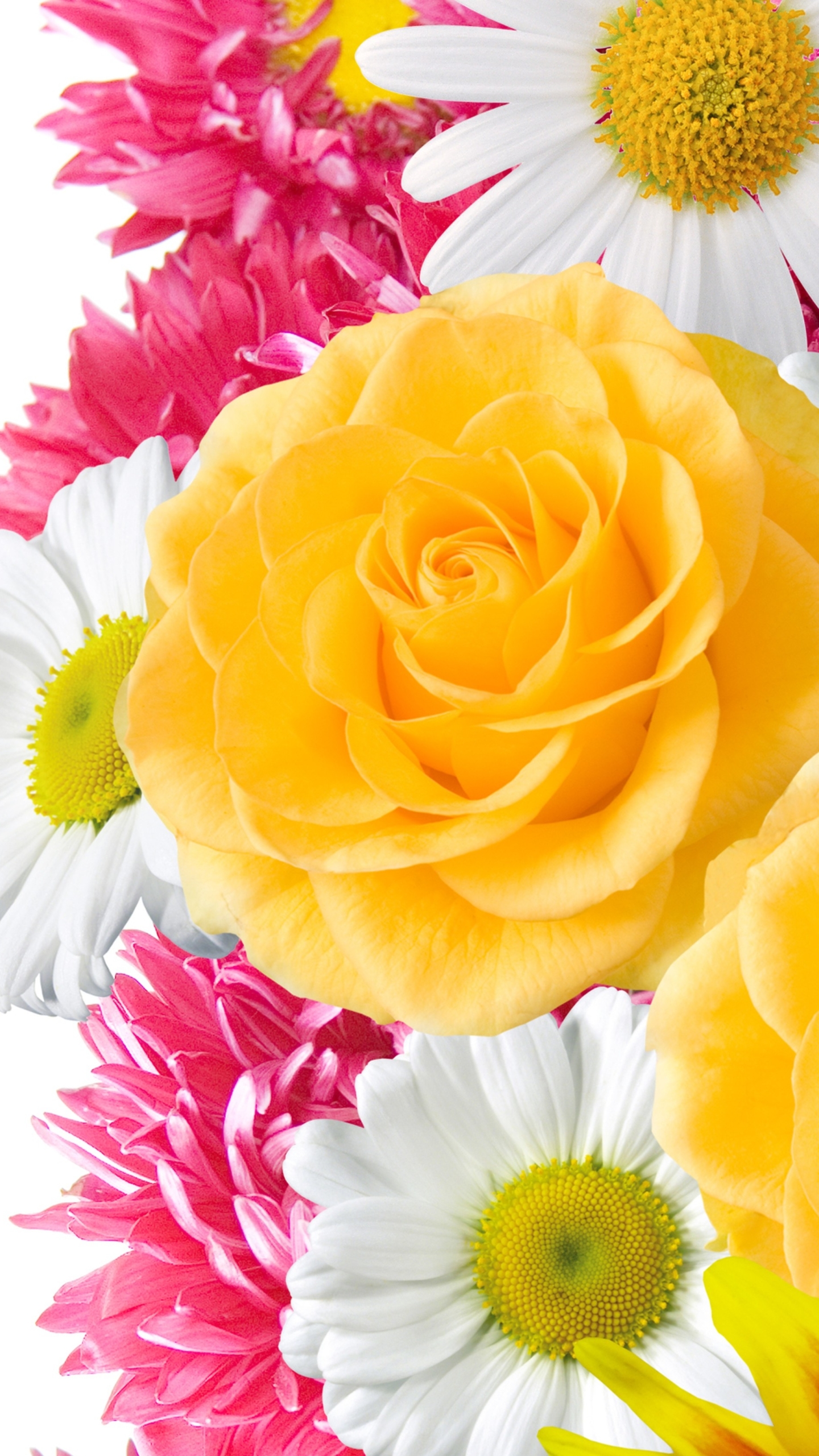 Handy-Wallpaper Blumen, Blume, Erde, Farben, Frühling, Gelbe Blume, Weiße Blume, Erde/natur, Pinke Blume kostenlos herunterladen.