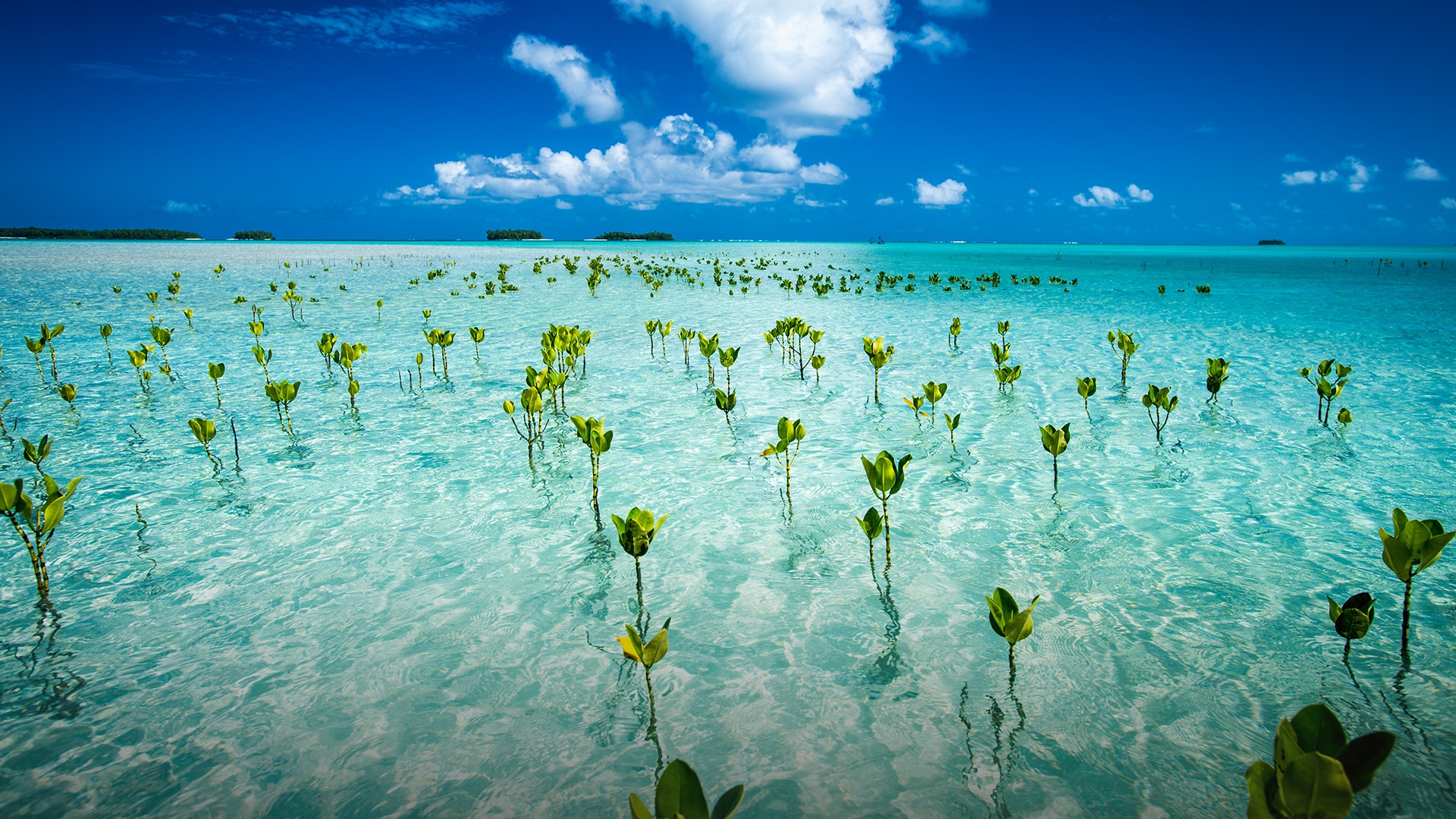 Handy-Wallpaper Natur, Horizont, Erde/natur, Meereslandschaft kostenlos herunterladen.