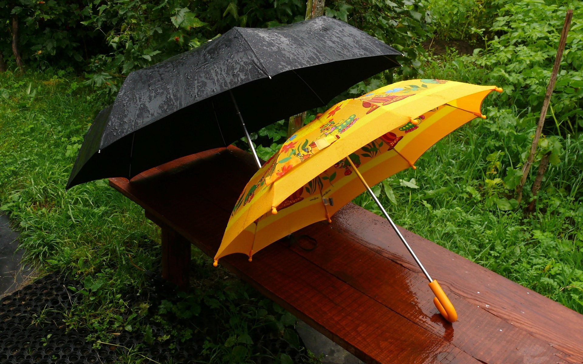 Téléchargez des papiers peints mobile Parapluie, Photographie gratuitement.