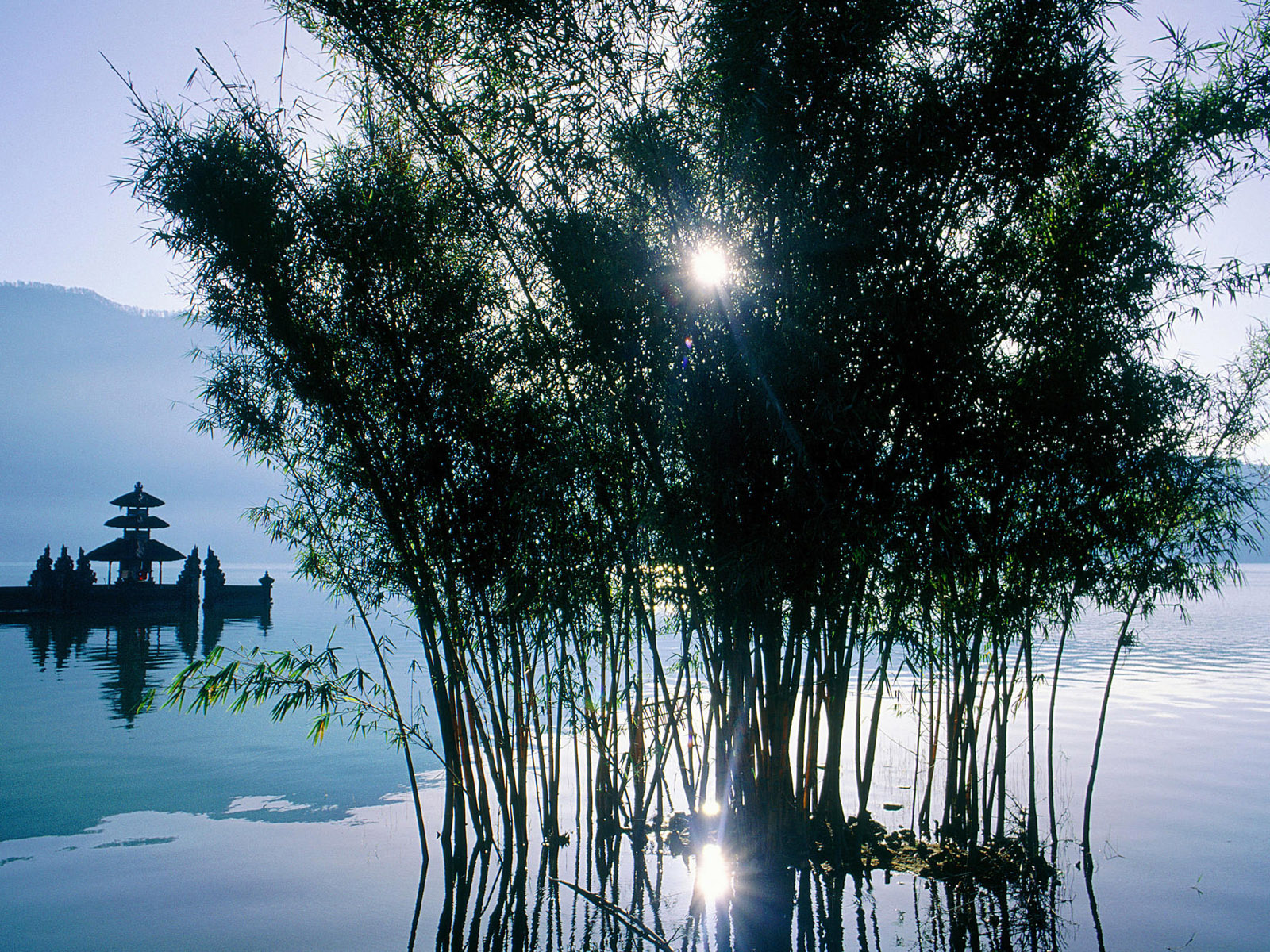 Download mobile wallpaper Sun, Lake, Tree, Earth, Scenic for free.