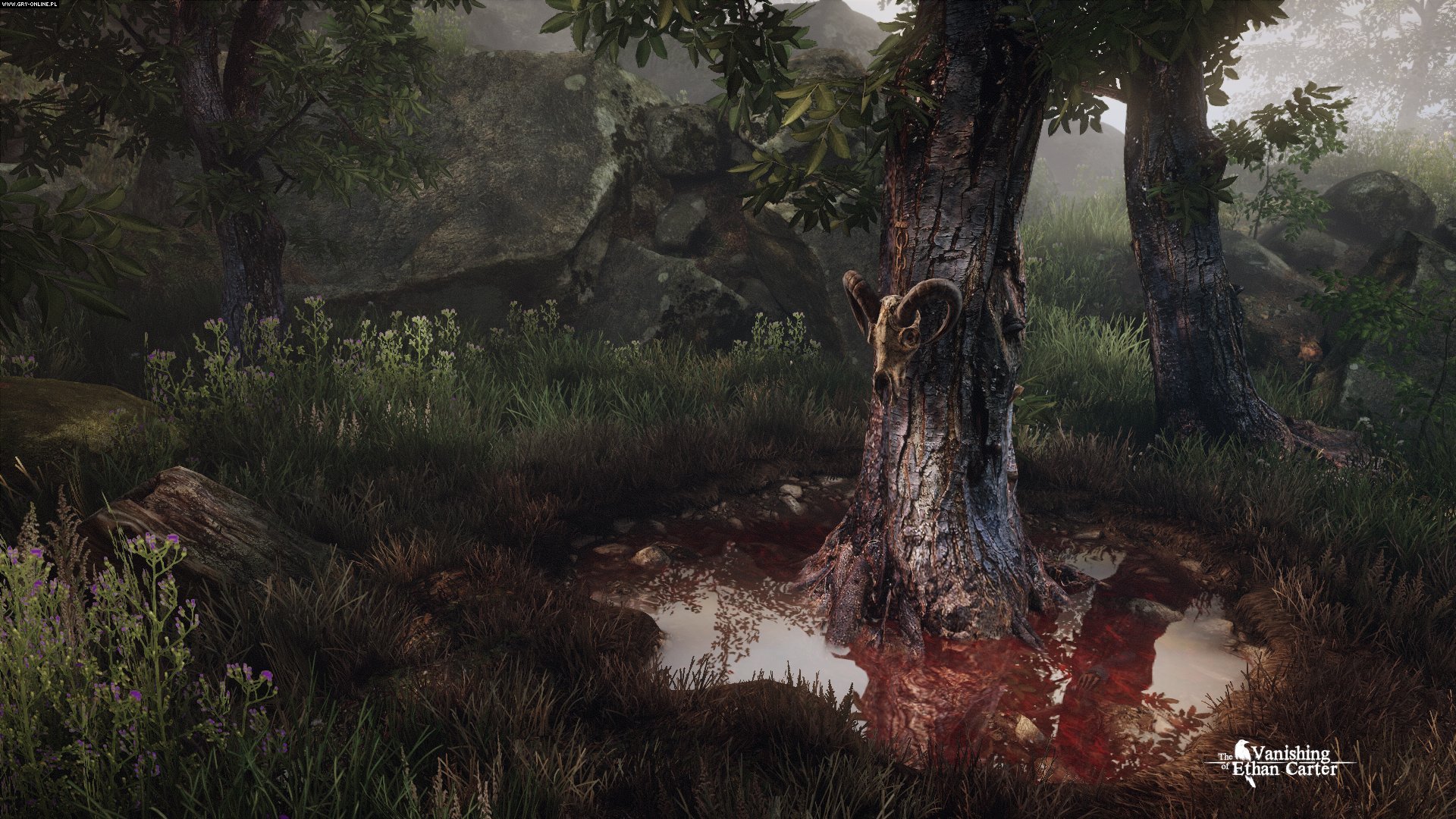 video game, the vanishing of ethan carter