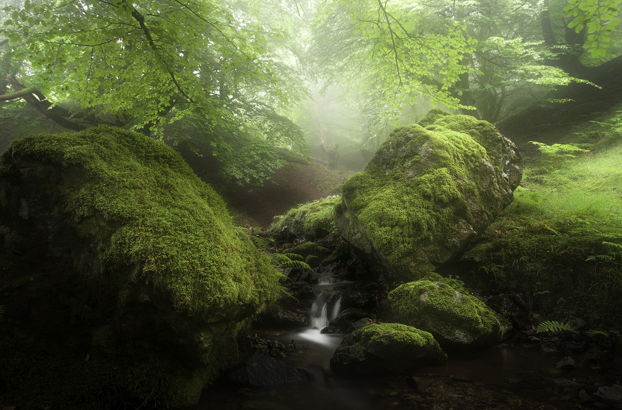 Download mobile wallpaper Nature, Fog, Earth, Moss, Stream for free.