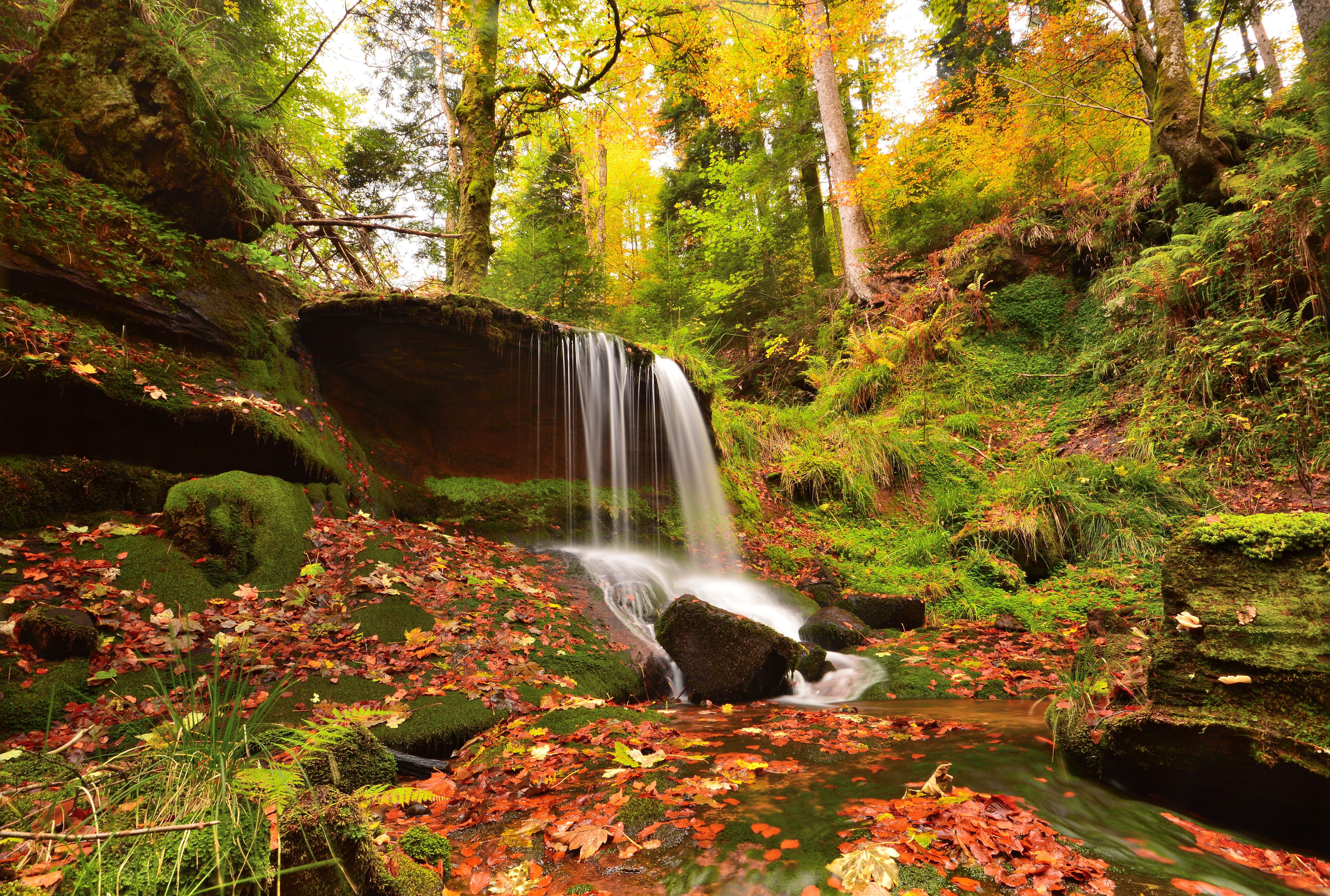 Laden Sie das Natur, Herbst, Wasserfälle, Wasserfall, Moos, Strom, Erde/natur-Bild kostenlos auf Ihren PC-Desktop herunter