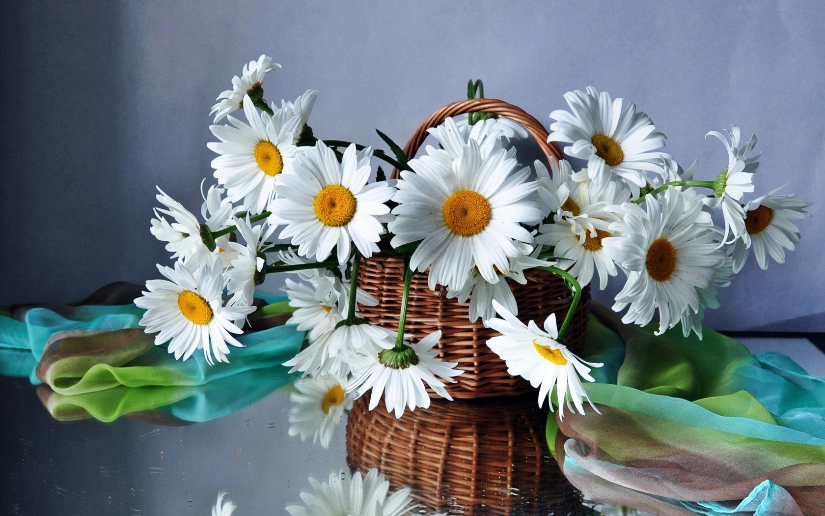 Téléchargez gratuitement l'image Fleurs, Camomille, Plantes, Bouquets sur le bureau de votre PC