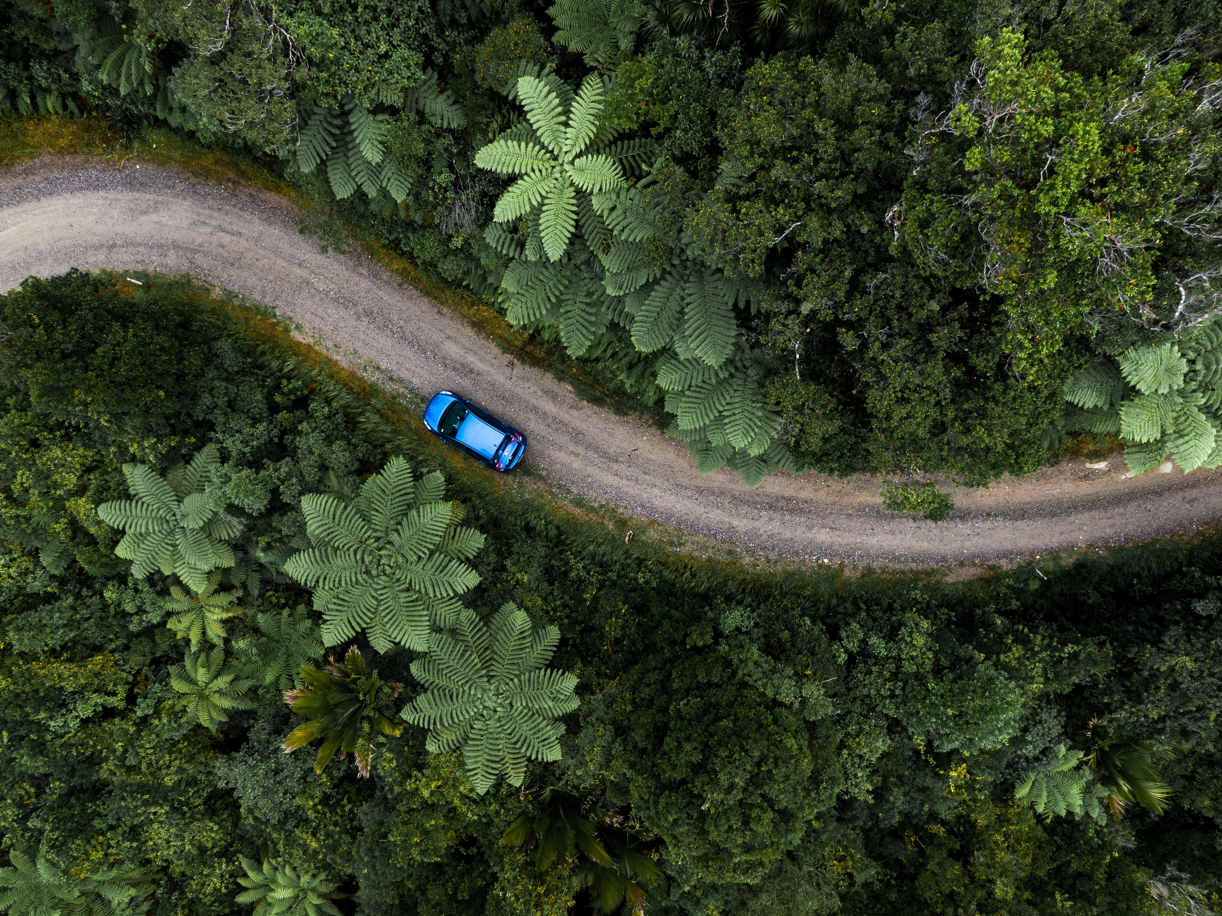 Download mobile wallpaper Road, View From Above, Machine, Car, Nature, Palms for free.
