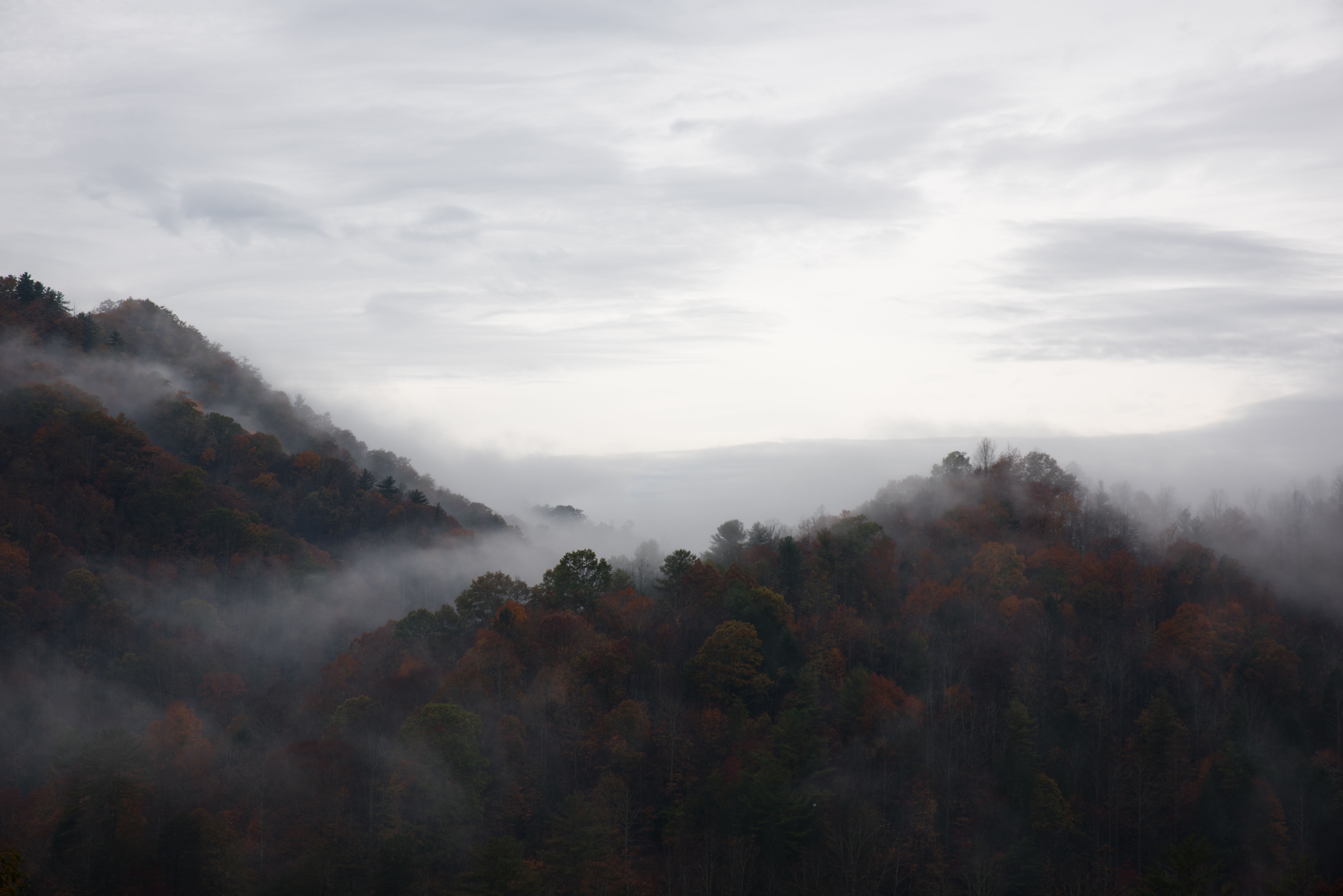 Скачать картинку Туман, Деревья, Небо, Горы, Природа в телефон бесплатно.