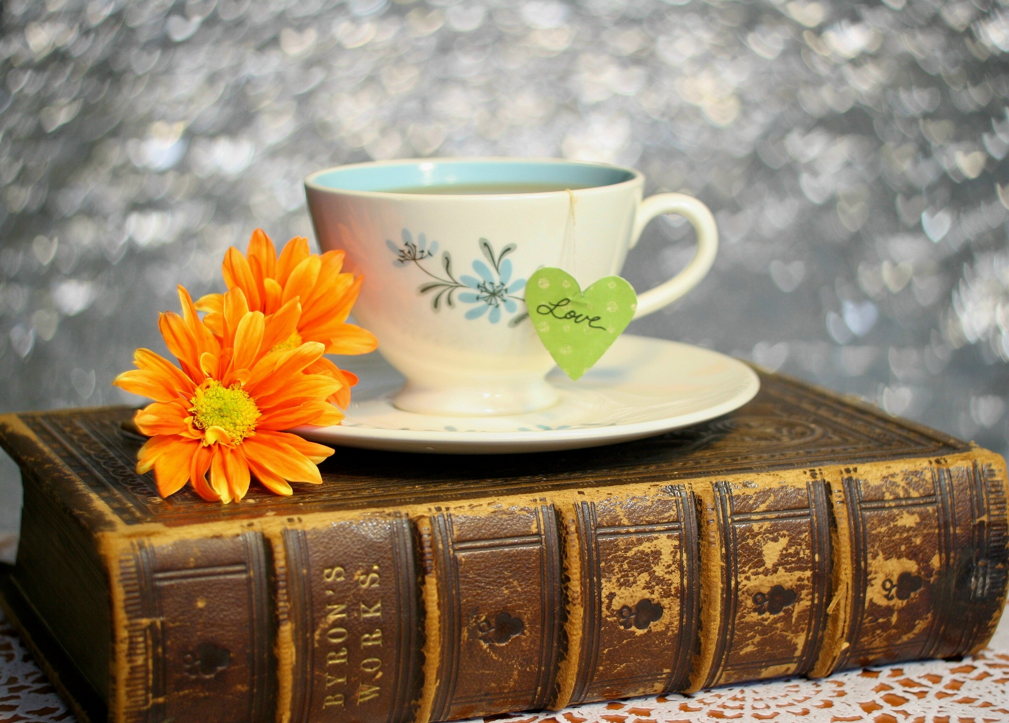 Free download wallpaper Still Life, Flower, Cup, Book, Bokeh, Daisy, Photography on your PC desktop
