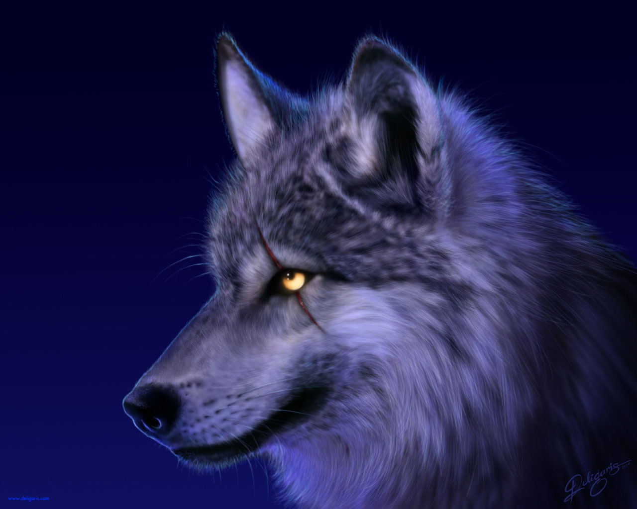 10272 descargar fondo de pantalla lobos, animales, azul: protectores de pantalla e imágenes gratis