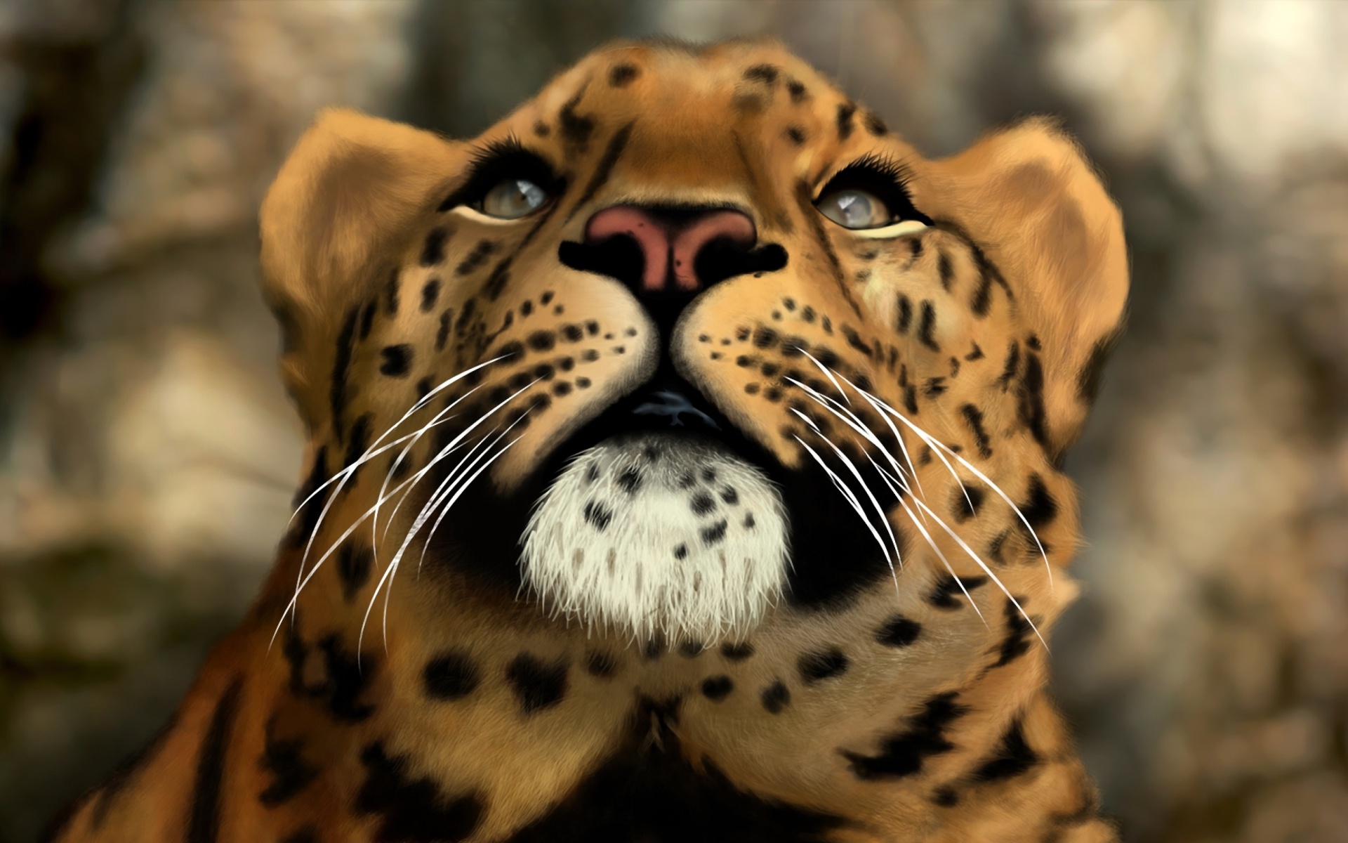 Free download wallpaper Cats, Jaguar, Close Up, Animal, Face on your PC desktop