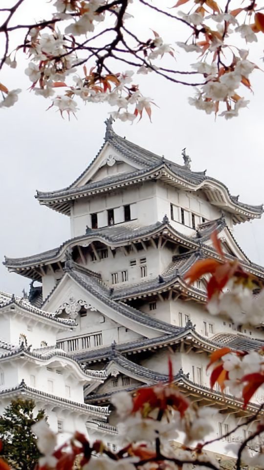 1136290 baixar papel de parede feito pelo homem, castelo himeji, sakura flor, primavera, hyogo, sakura, japão, castelos - protetores de tela e imagens gratuitamente