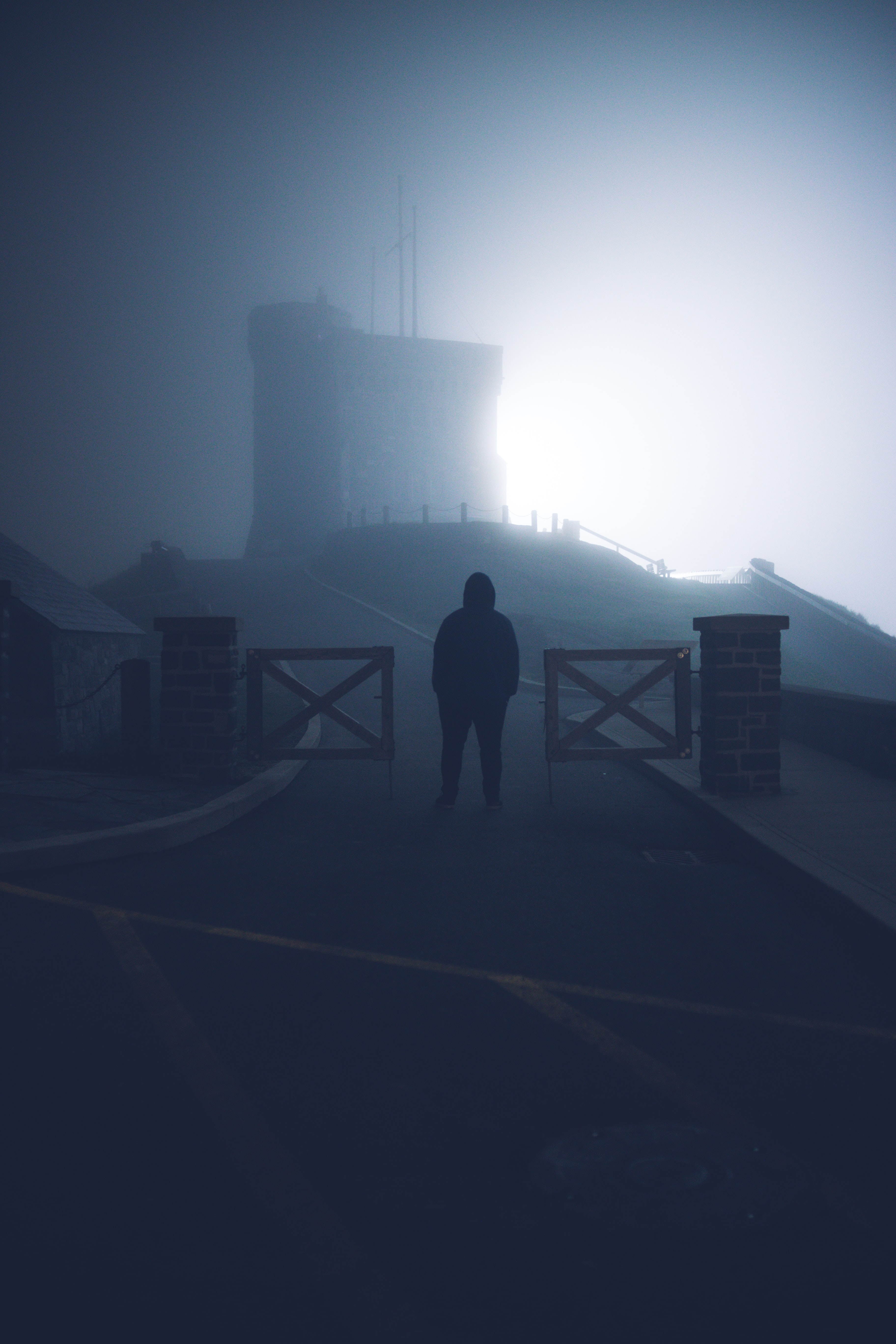 Cool Wallpapers alone, nature, silhouette, fog, sadness, loneliness, lonely, sorrow