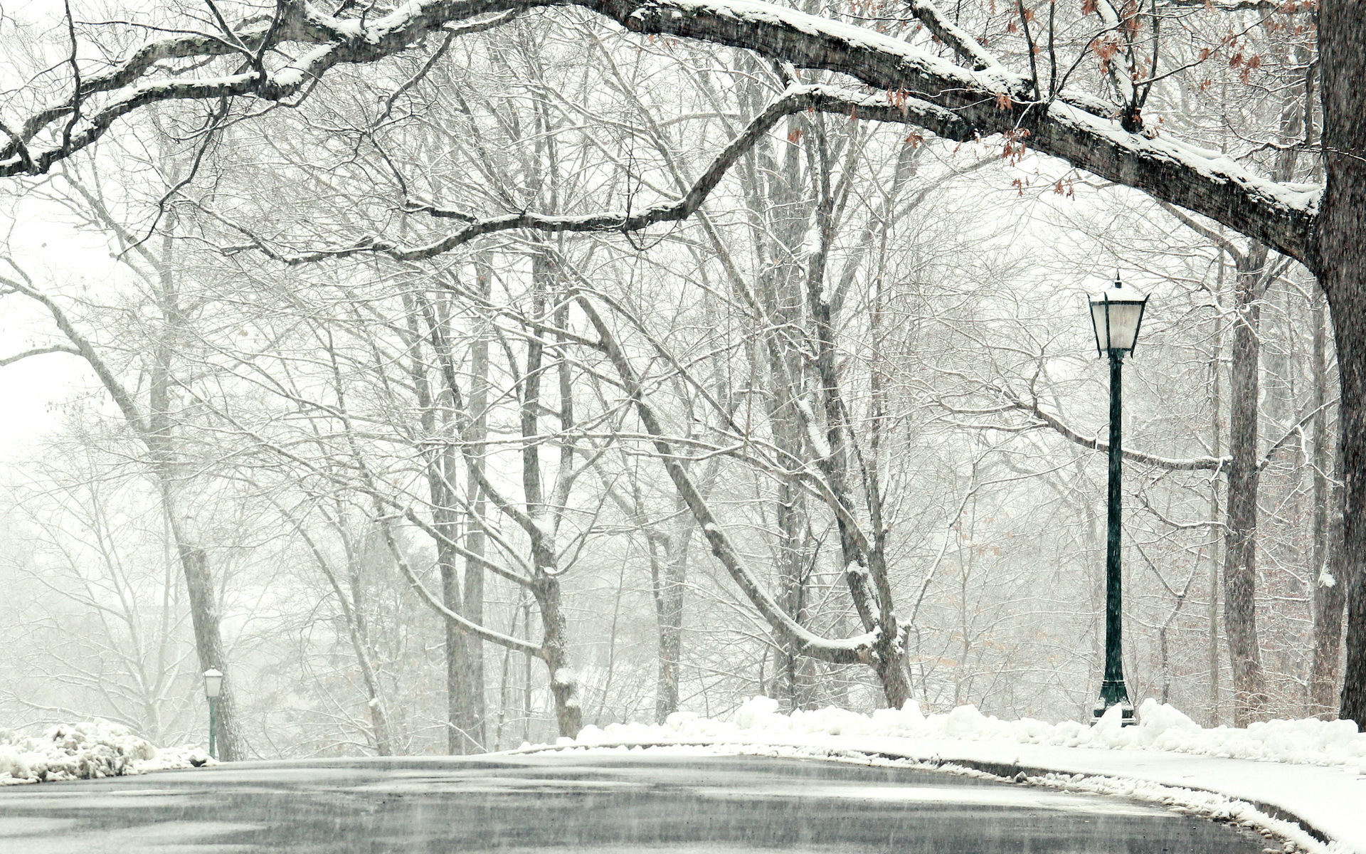 PCデスクトップに冬, 公園, 降雪, 写真撮影, 街灯柱画像を無料でダウンロード
