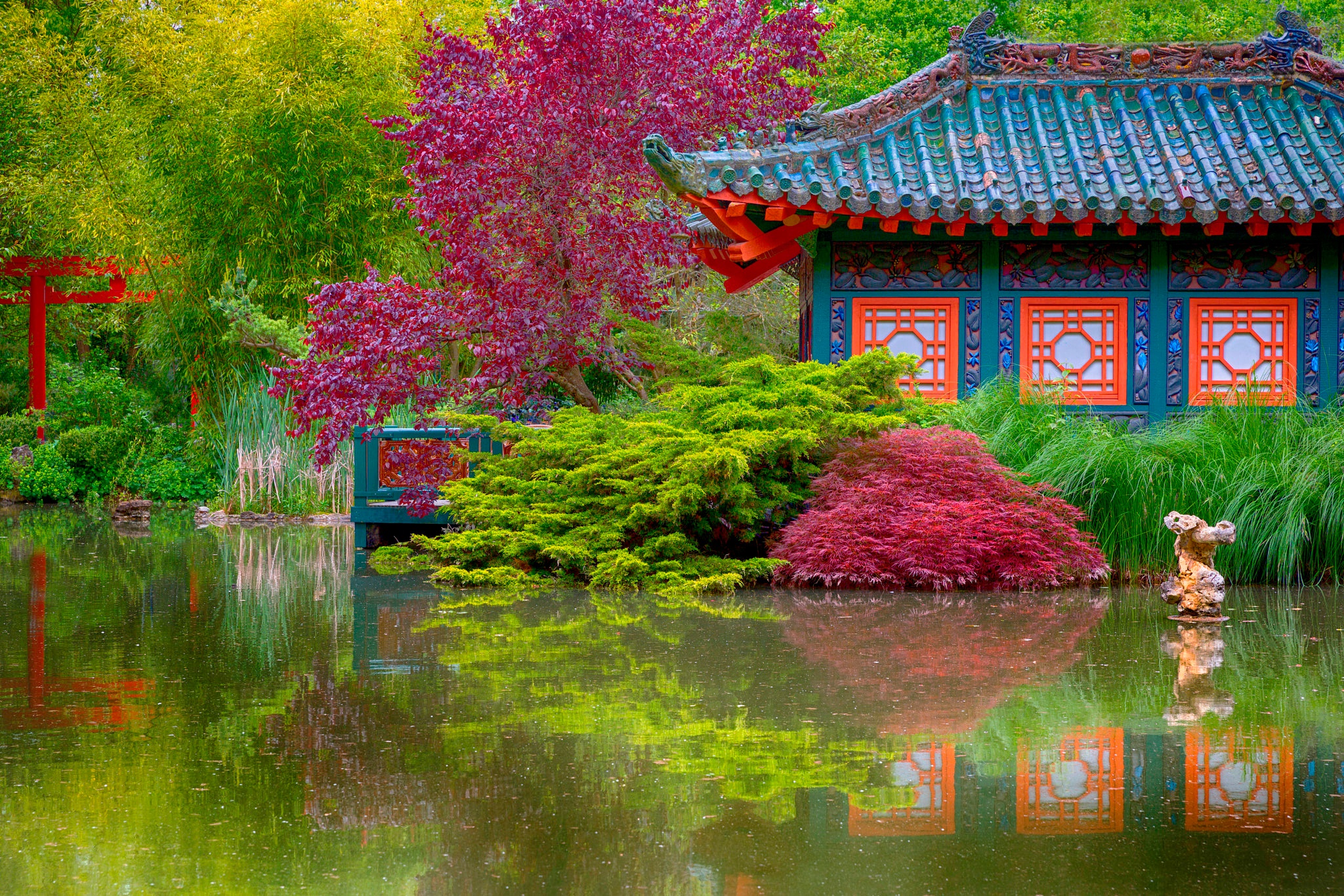 866103 завантажити картинку будиночок, створено людиною, японський сад, барвистий, ставок, дерево - шпалери і заставки безкоштовно