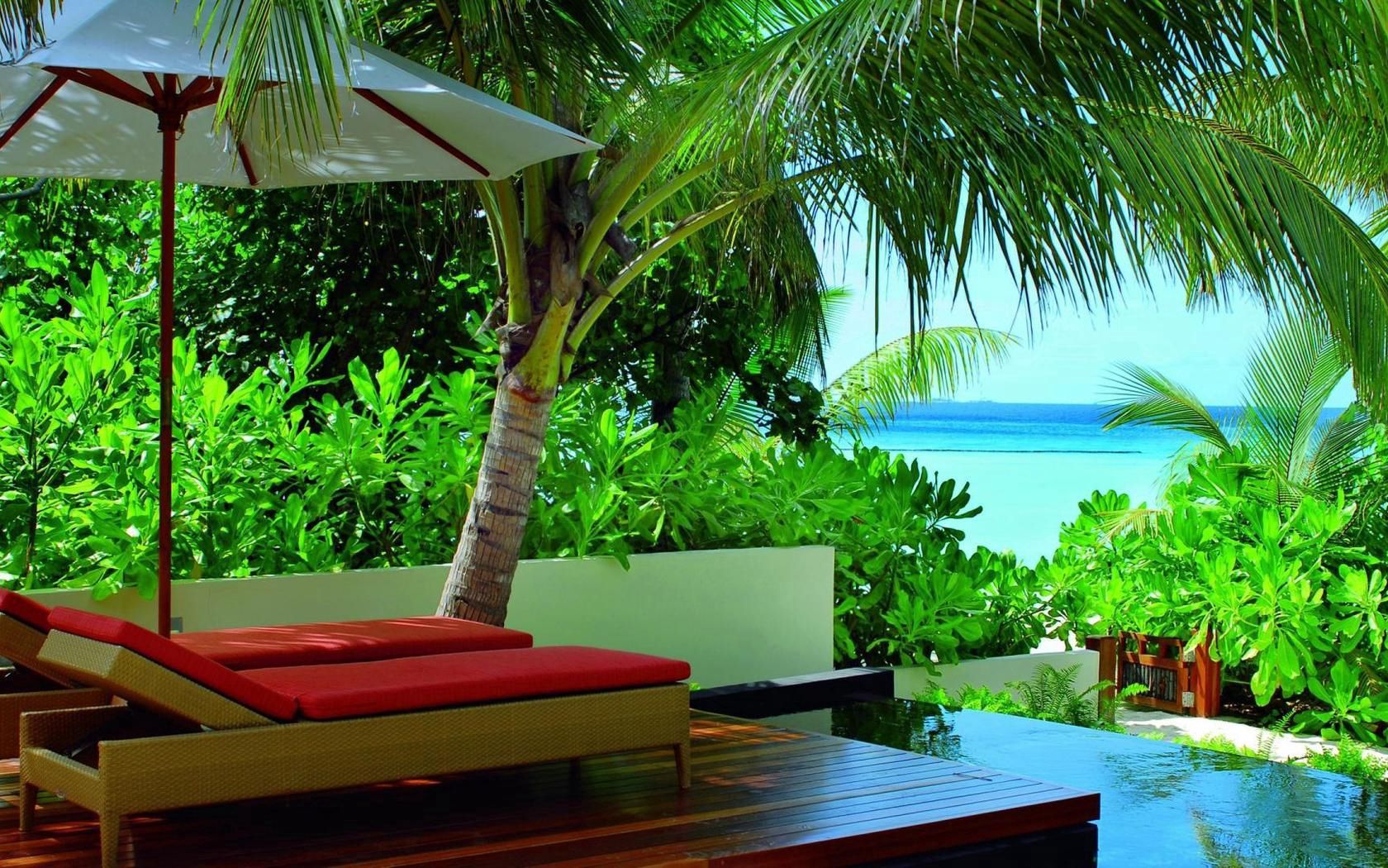 resort, maldives, chairs, nature, palms, vegetation, greens, tropics, sun lounger, deck chair, armchairs