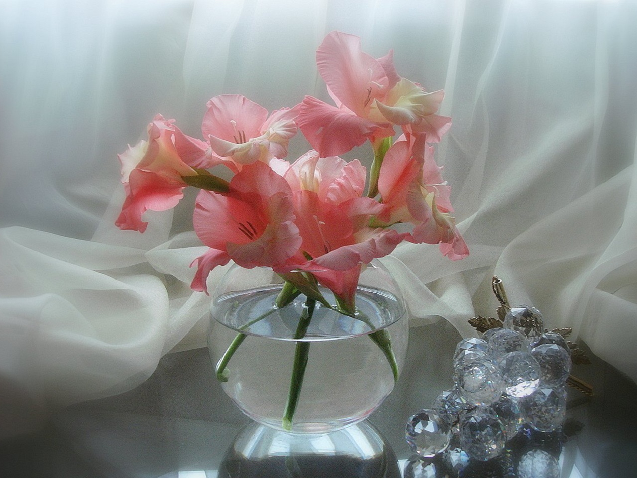 Téléchargez des papiers peints mobile Bouquets, Plantes, Fleurs gratuitement.
