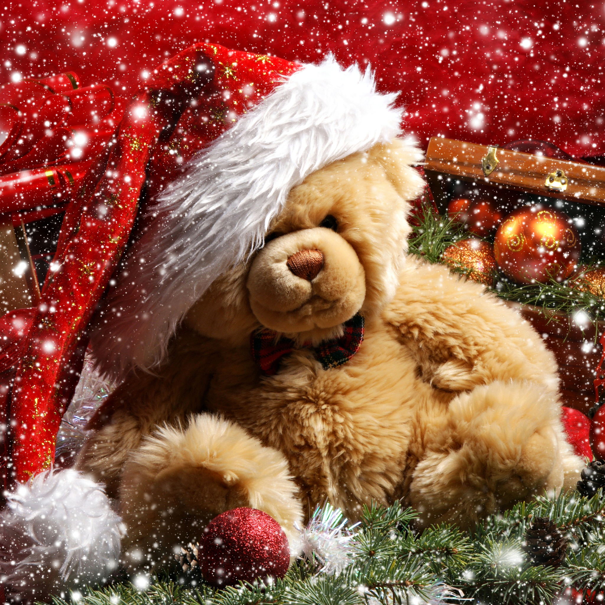 Скачать картинку Рождество, Плюшевый Мишка, Рождественские Украшения, Праздничные, Шляпа Санты в телефон бесплатно.