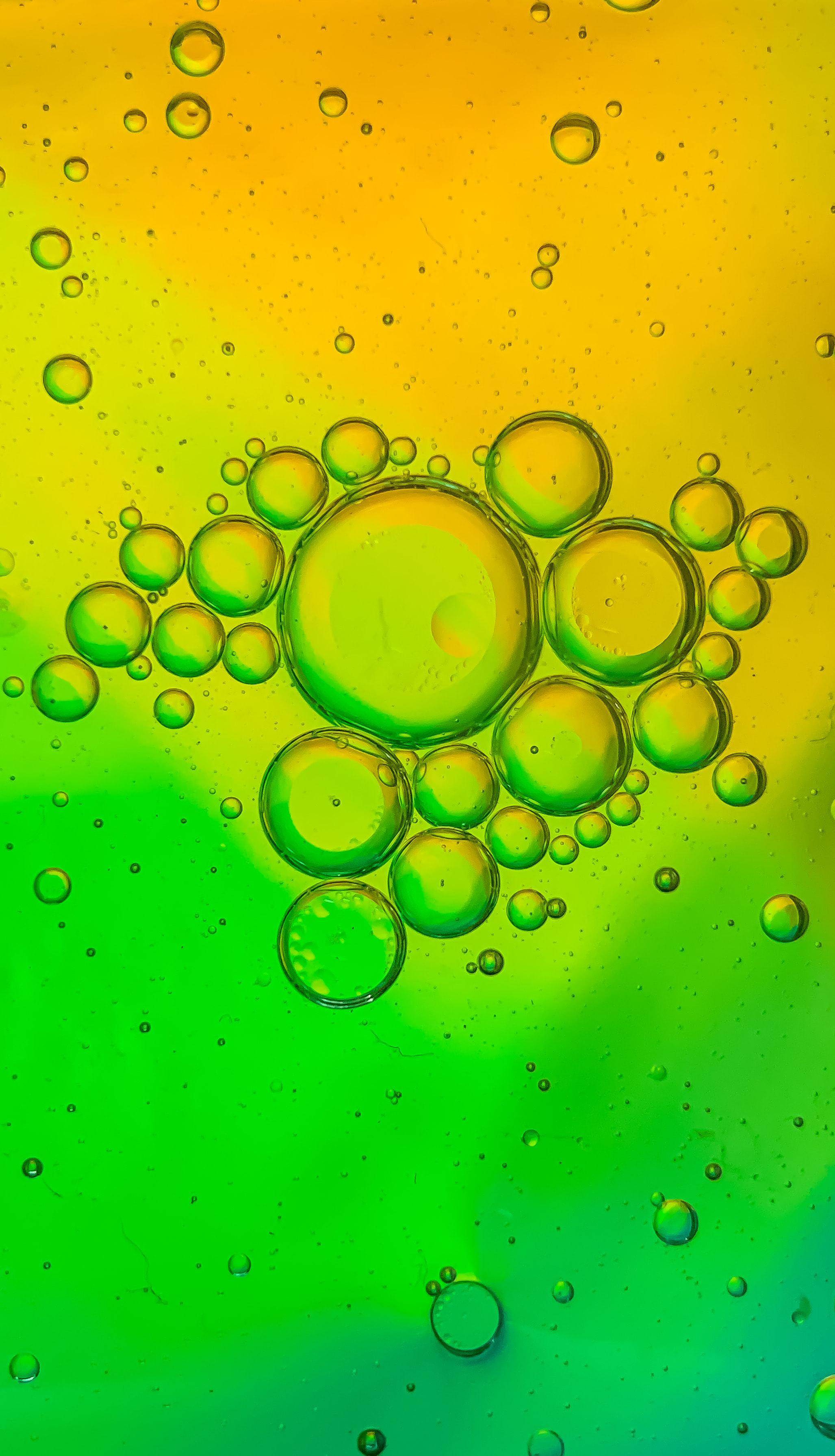 Free download wallpaper Abstract, Bubble, Gradient on your PC desktop