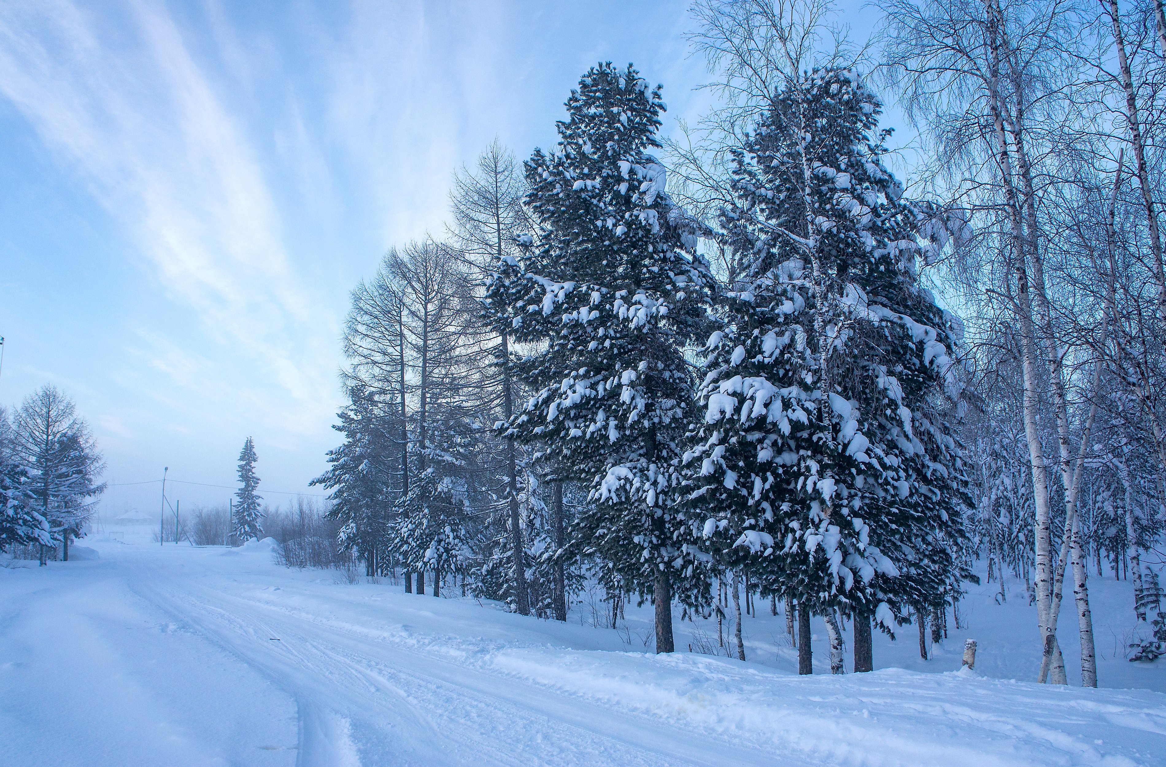 Скачать картинку Зима, Снег, Дорога, Лес, Дерево, Туман, Синий, Сделано Человеком в телефон бесплатно.