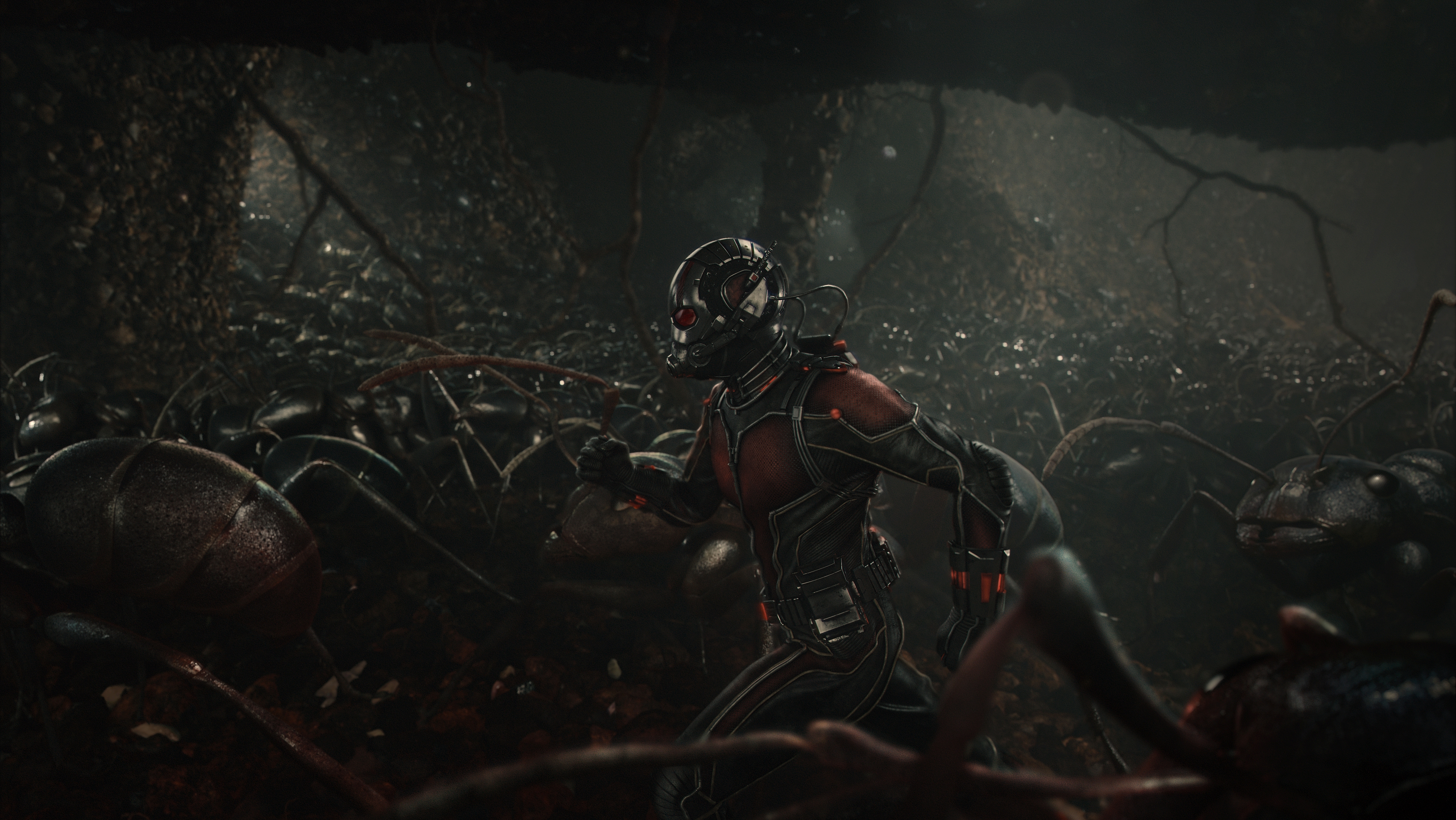 Descarga gratuita de fondo de pantalla para móvil de Películas, Ant Man.