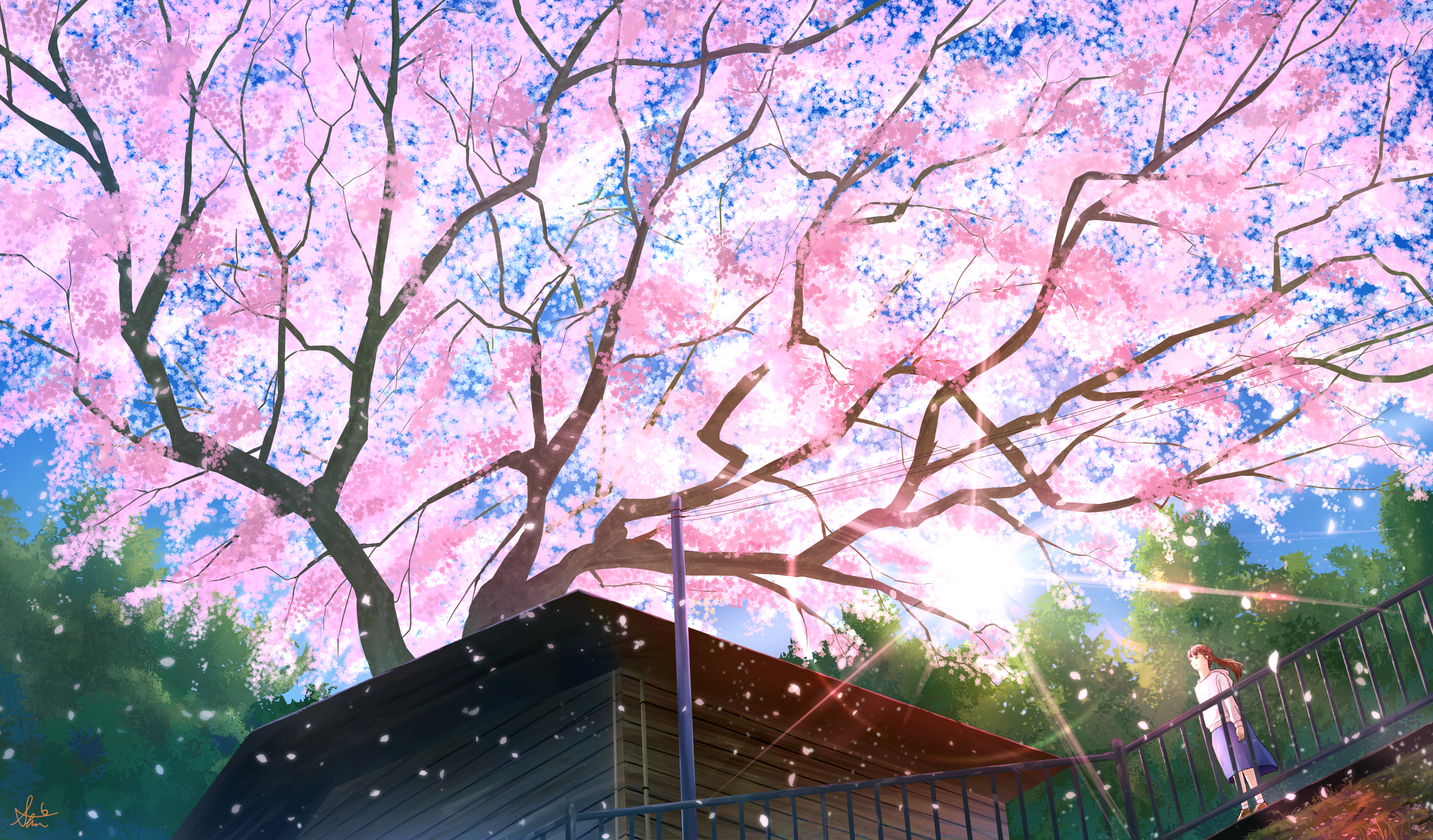 Téléchargez des papiers peints mobile Sakura, Arbre, Animé gratuitement.