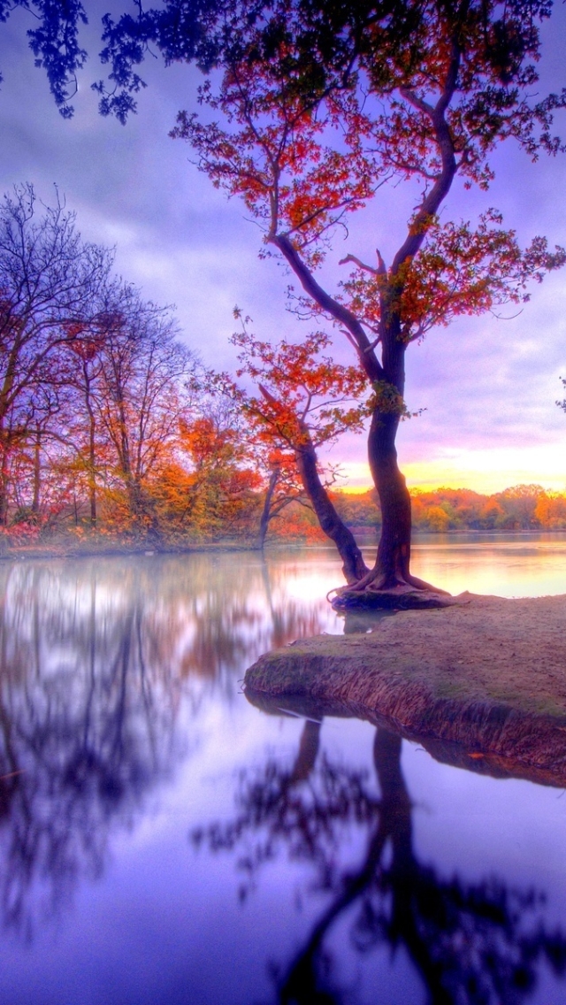 Скачать картинку Осень, Озеро, Отражение, Дерево, Hdr, Фотографии, Падать в телефон бесплатно.
