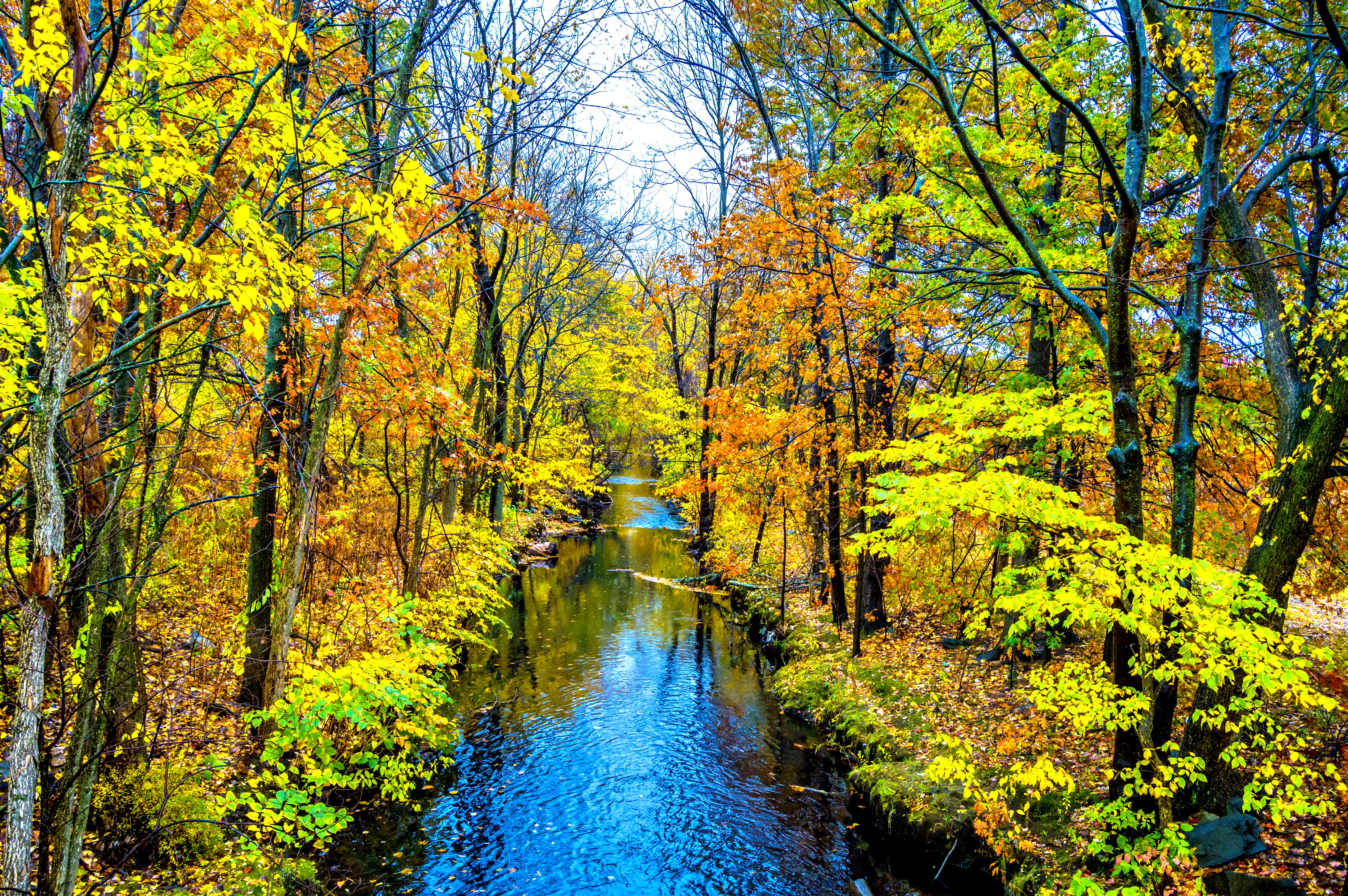 Скачать обои бесплатно Река, Осень, Лес, Дерево, Земля/природа картинка на рабочий стол ПК
