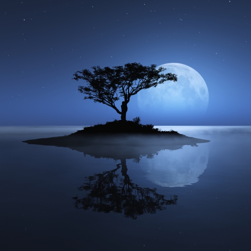 Download mobile wallpaper Water, Trees, Stars, Night, Moon, Tree, Earth, Island for free.