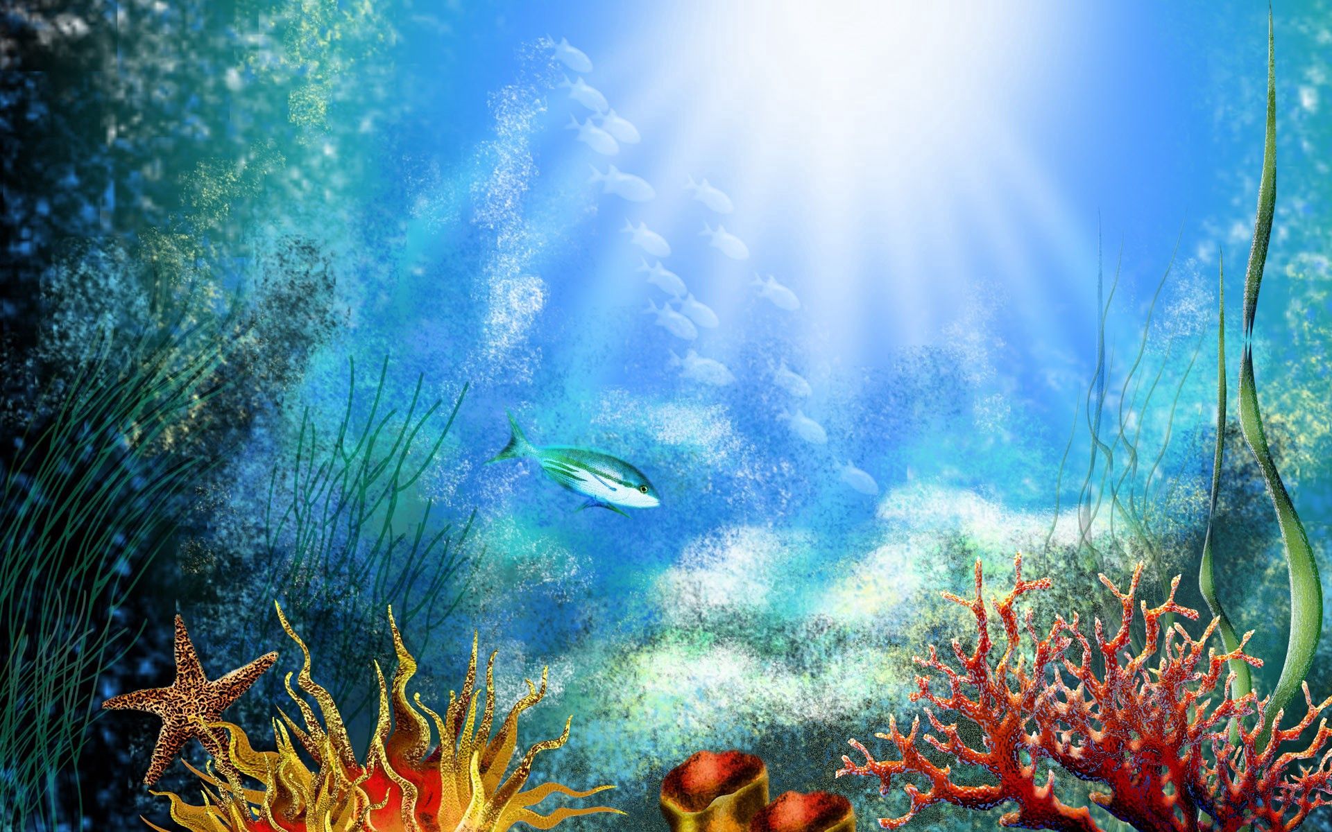 154339 Bild herunterladen unterwasser, unter dem wasser, natur, scheinen, licht, vegetation, ein fisch, fisch, seetang, algen - Hintergrundbilder und Bildschirmschoner kostenlos