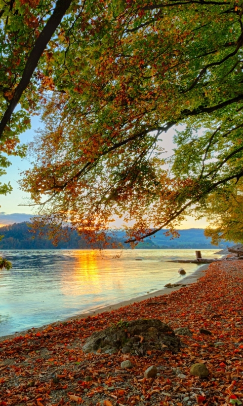 Скачать картинку Осень, Озера, Озеро, Лист, Листва, Падать, Земля/природа в телефон бесплатно.