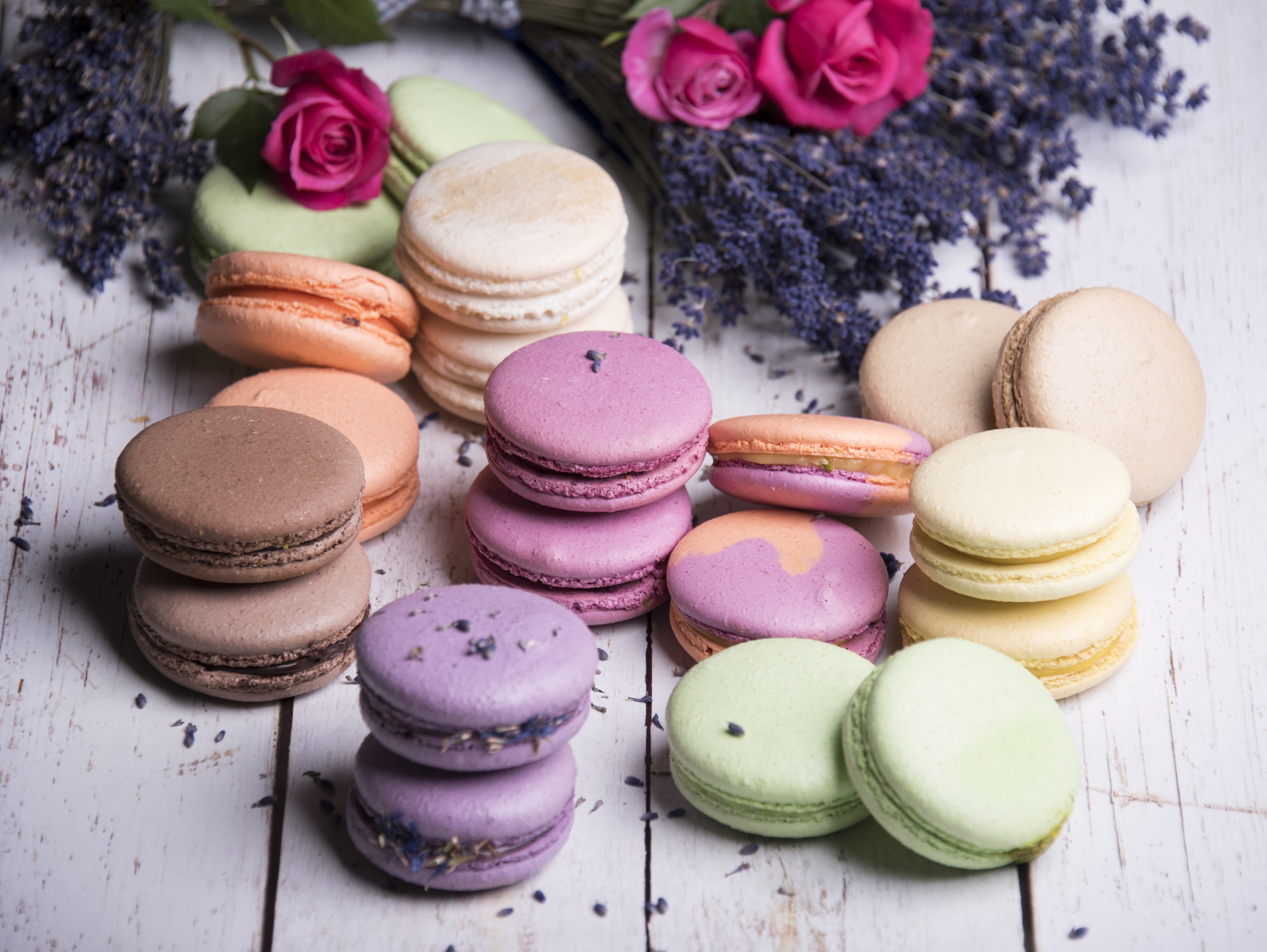 Download mobile wallpaper Food, Still Life, Rose, Sweets, Macaron for free.