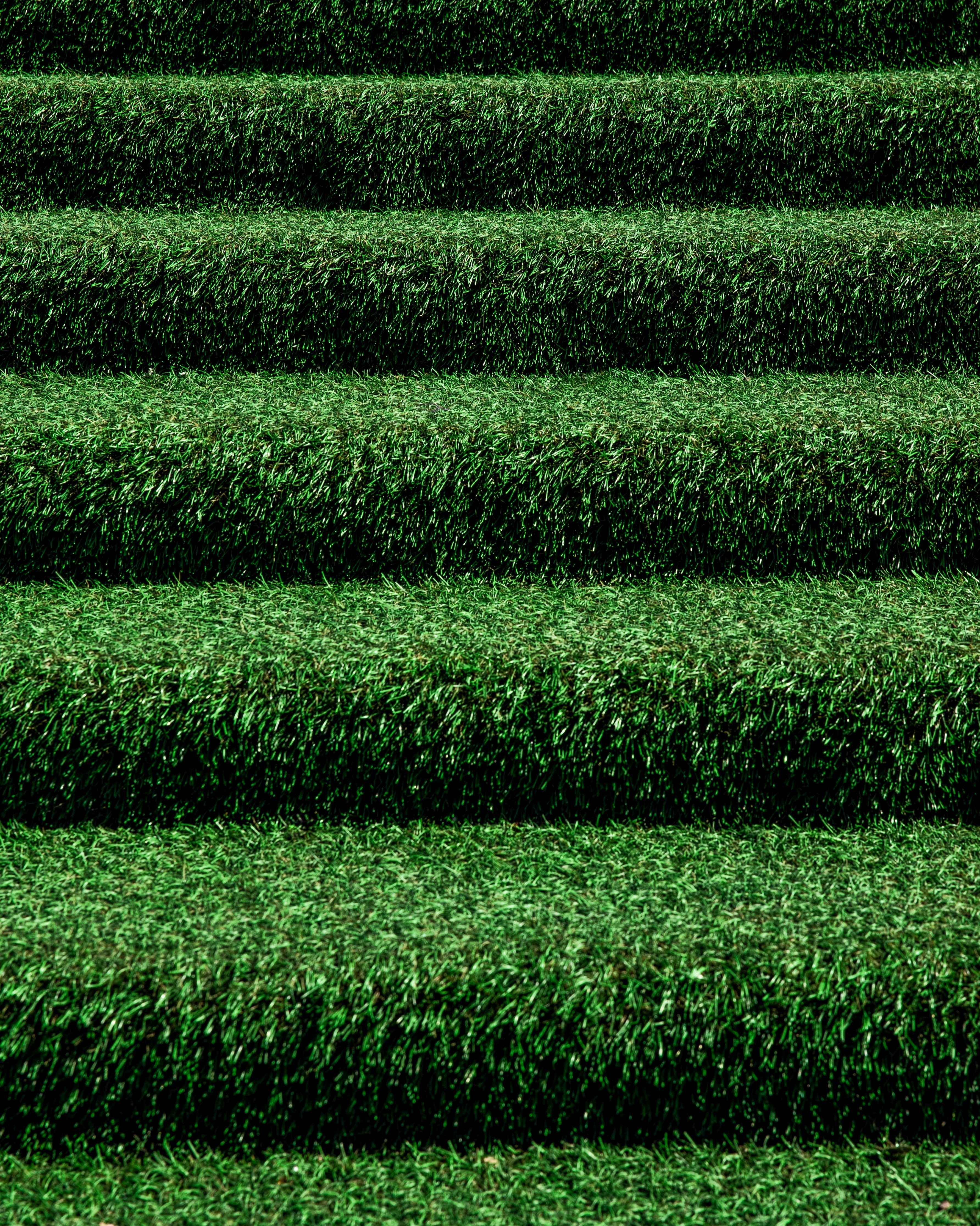 grass, nature, green, stairs, ladder