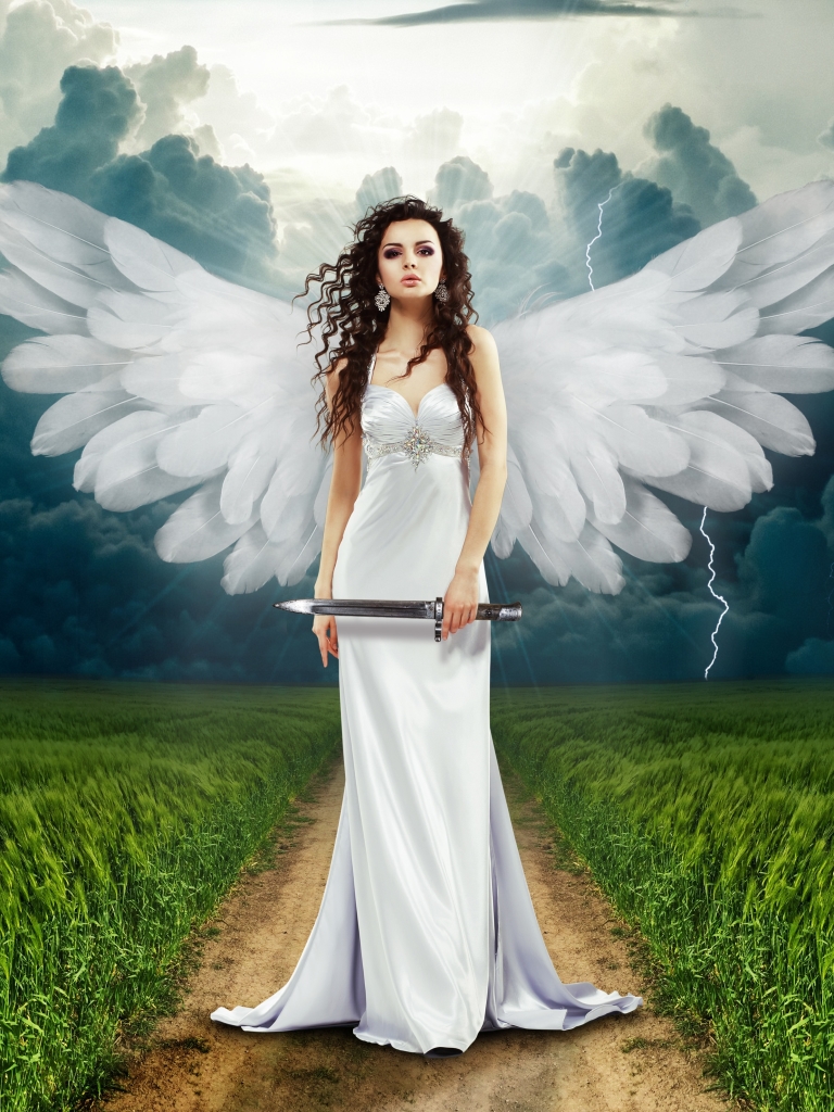 Download mobile wallpaper Fantasy, Sky, Field, Wings, Storm, Angel, Cloud, Long Hair for free.