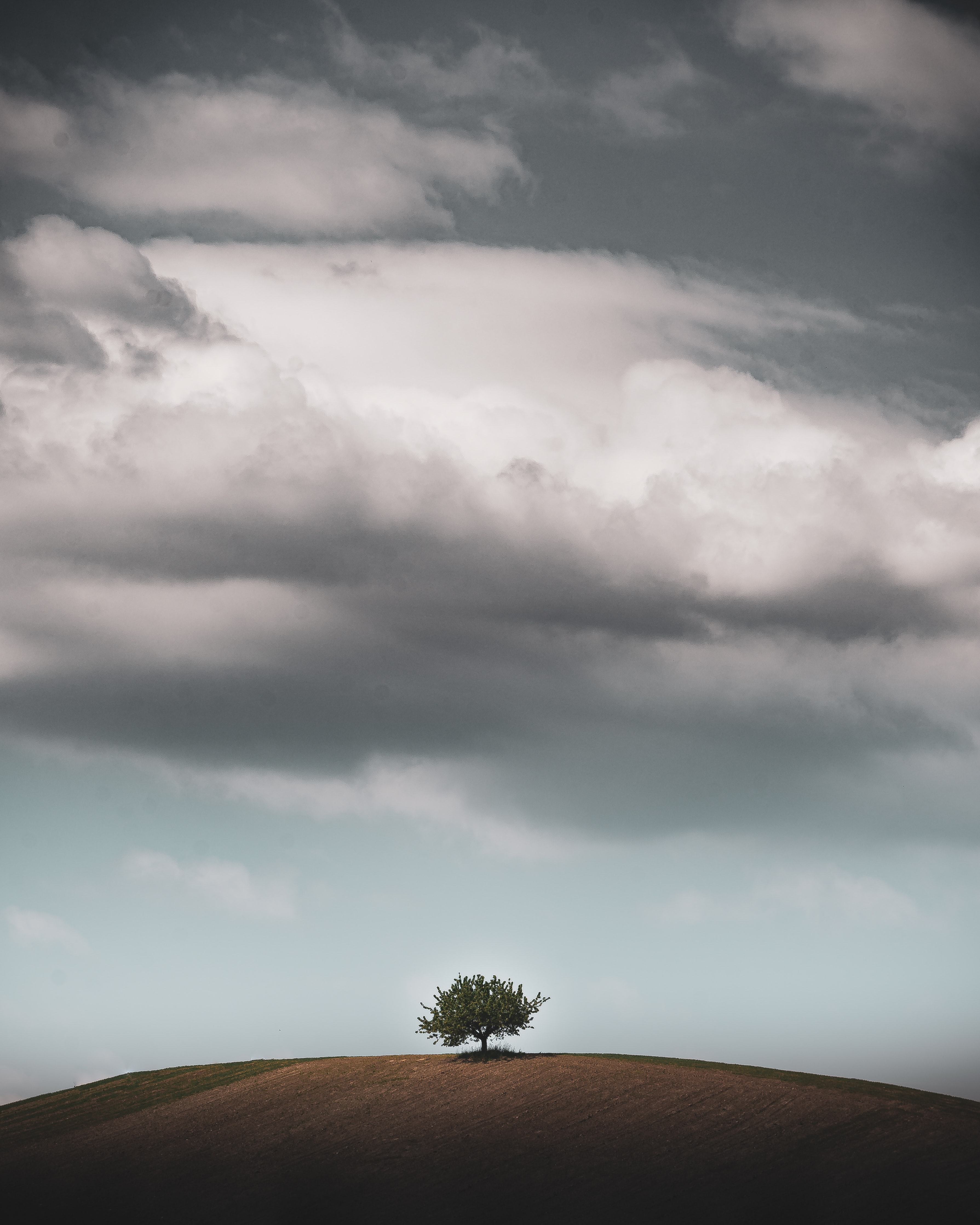 Free download wallpaper Sky, Horizon, Wood, Tree, Hill, Nature on your PC desktop
