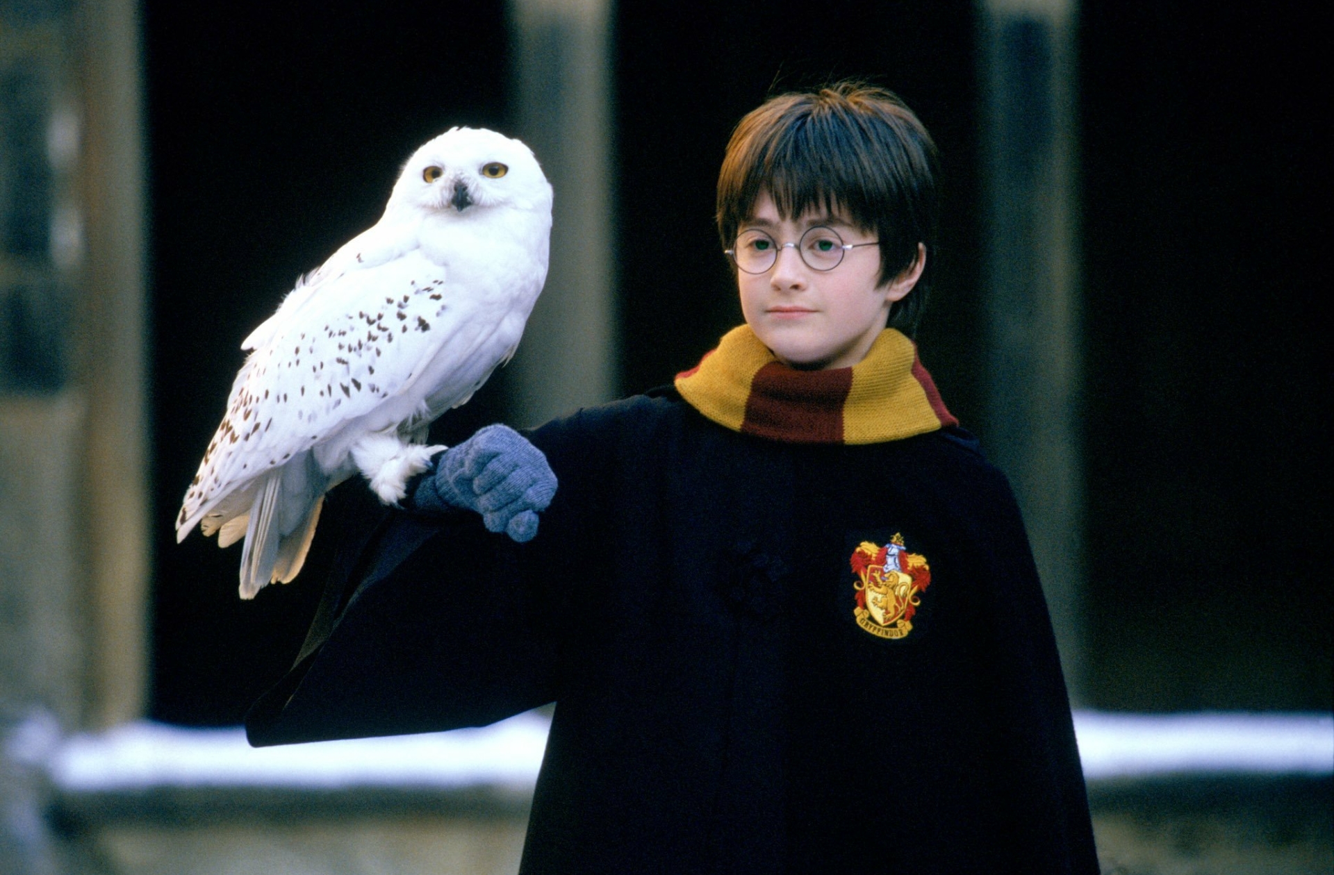 Meilleurs fonds d'écran Hedwige (Harry Potter) pour l'écran du téléphone